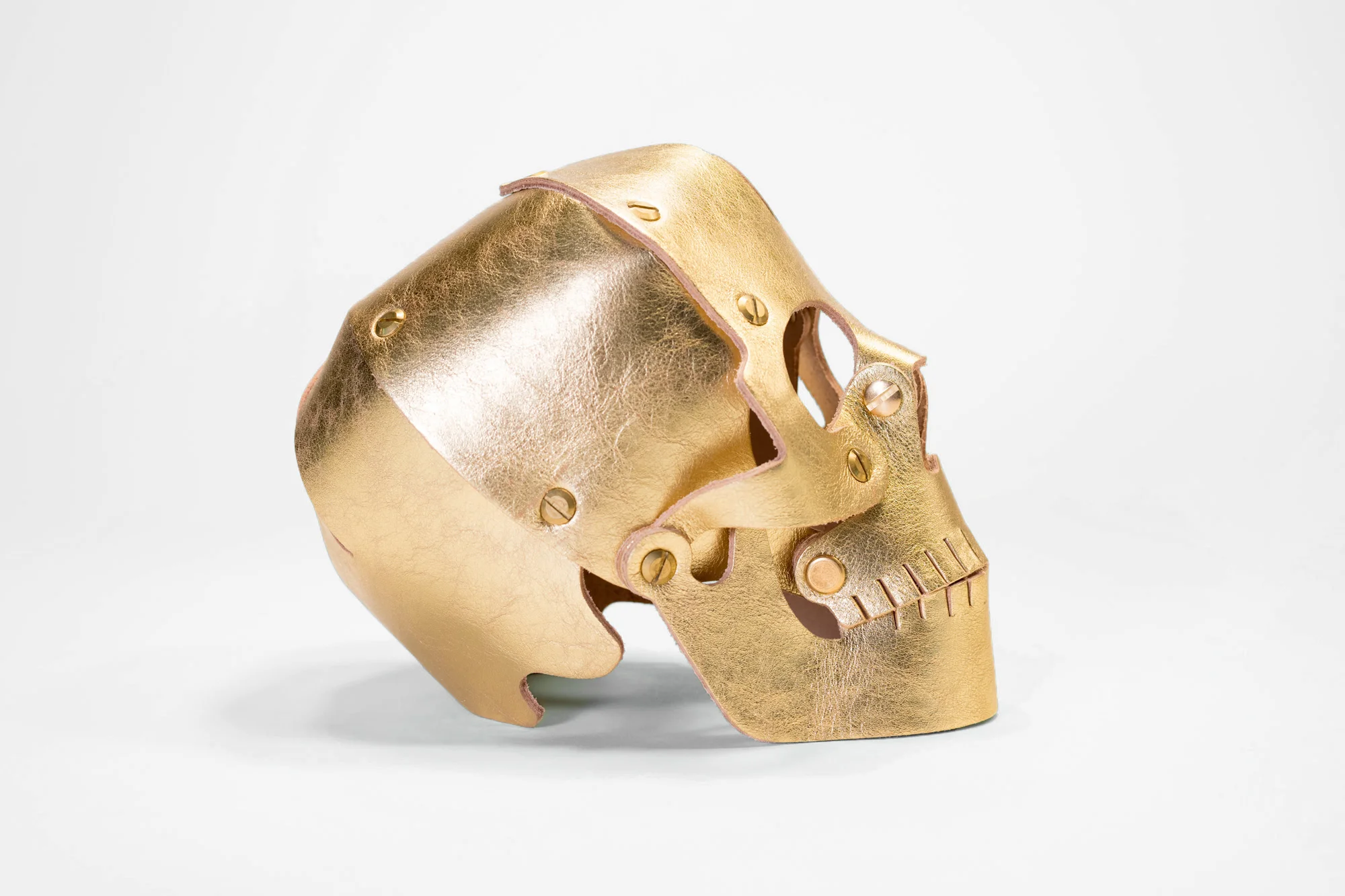 HeavyEyes_Barneys_goldskull_5.jpg