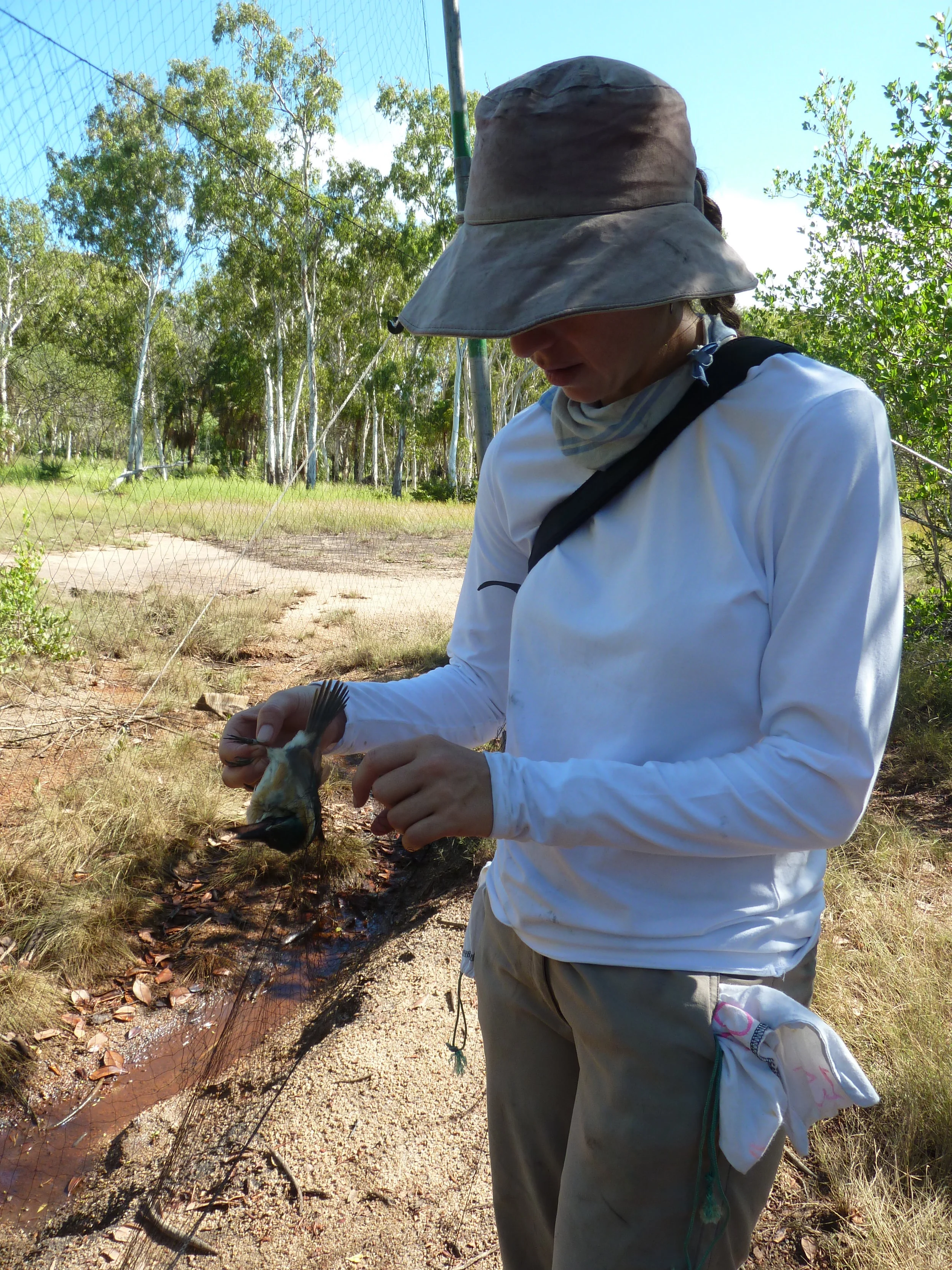 Conservation Biologist, April Reside. Photo by Matthew McIntosh