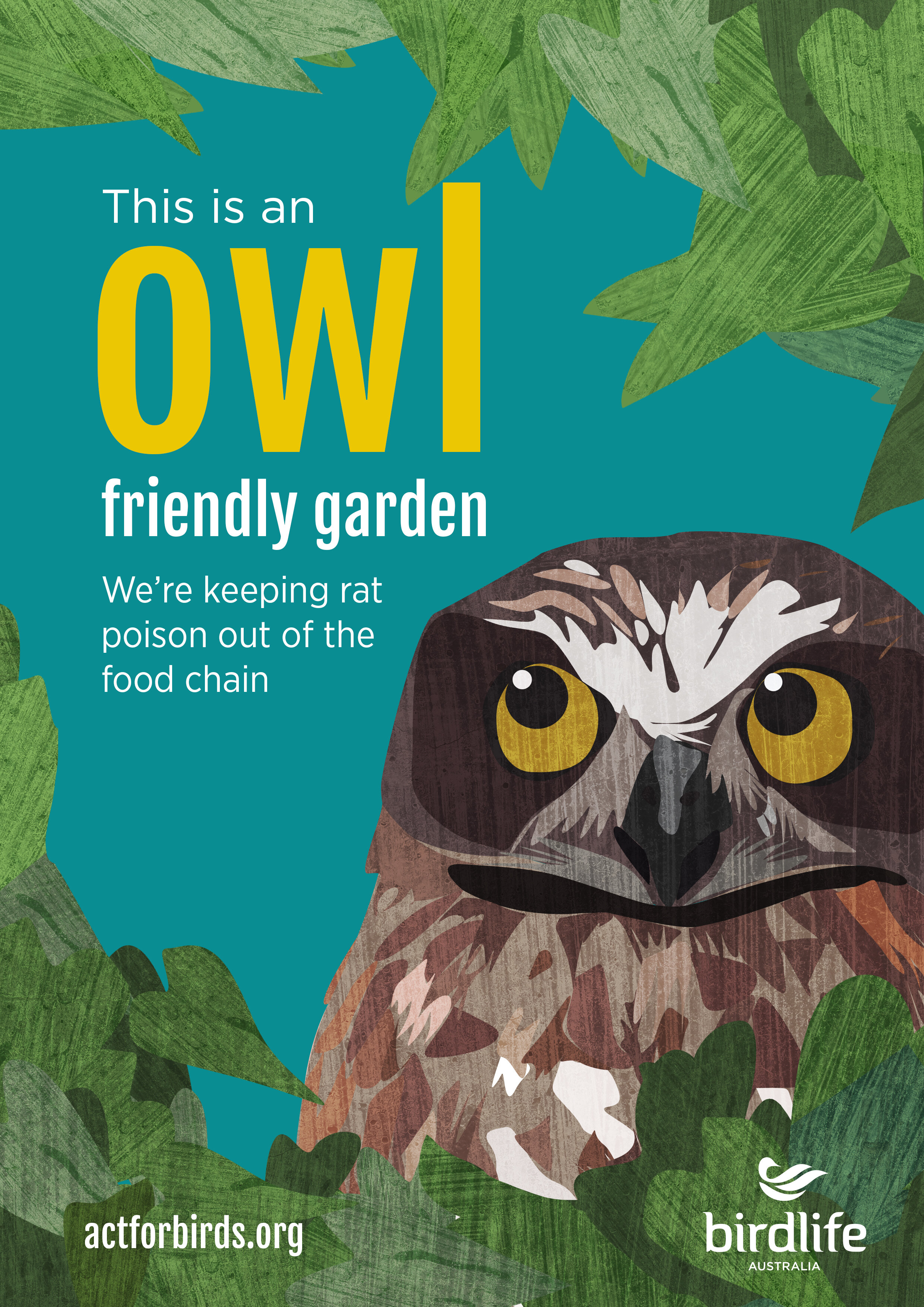 https://images.squarespace-cdn.com/content/v1/5a68facad7bdce5b6d9410a2/1594965468038-Z12MJOWWARI4LBSXVLNN/owl+friendly+garden+poster.jpg