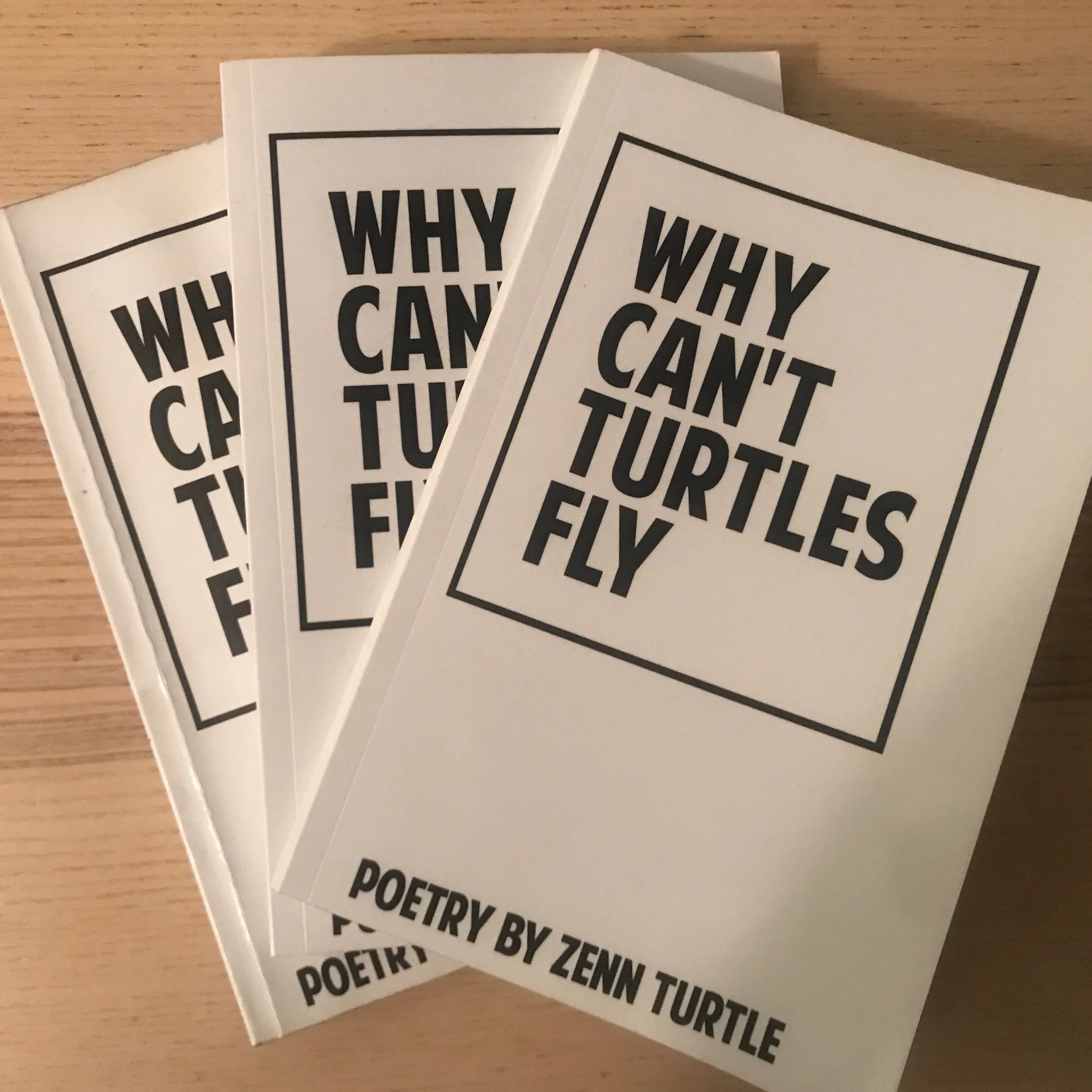 Why Can't Turtles Fly