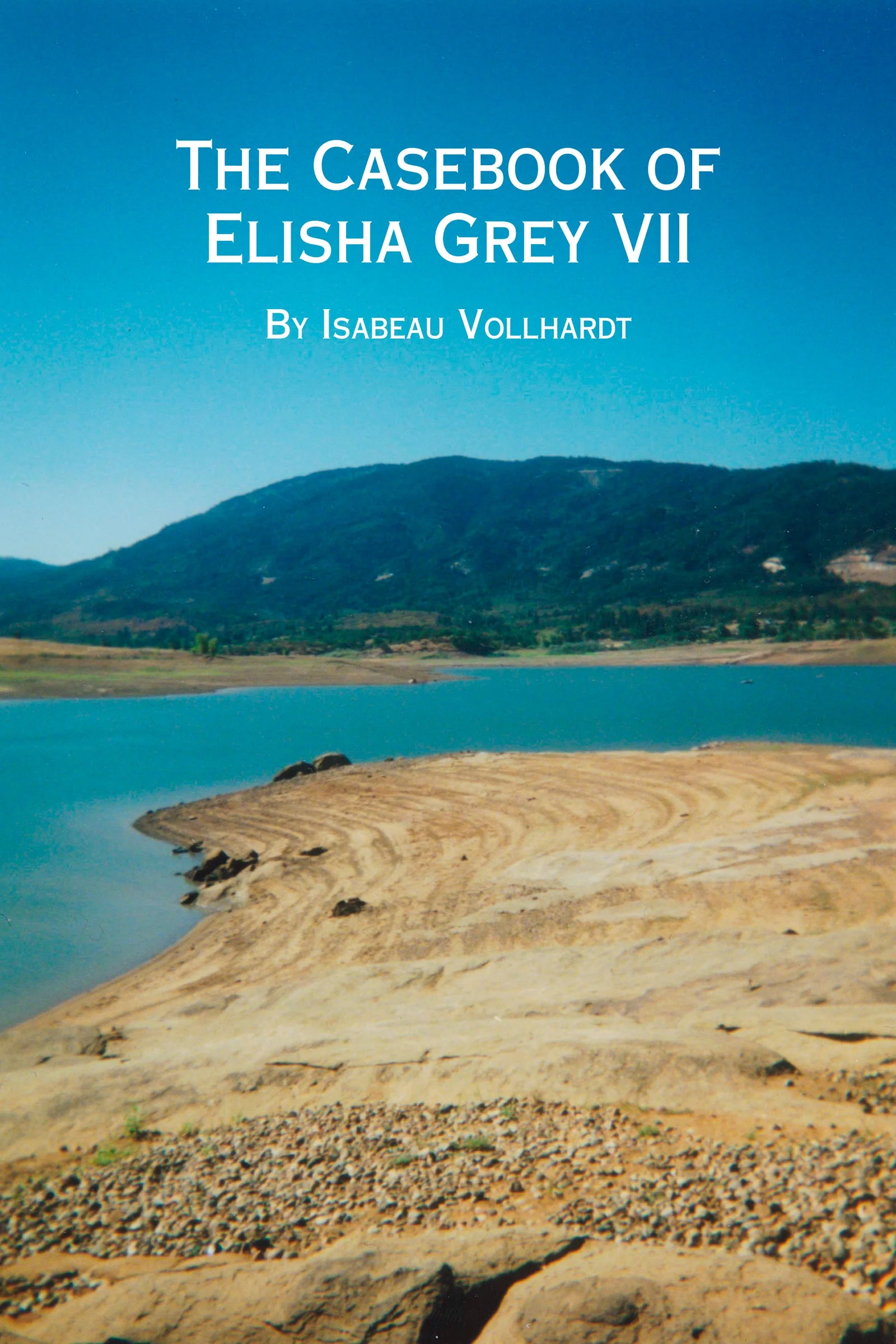 Casebook VII small for blog sites.JPG