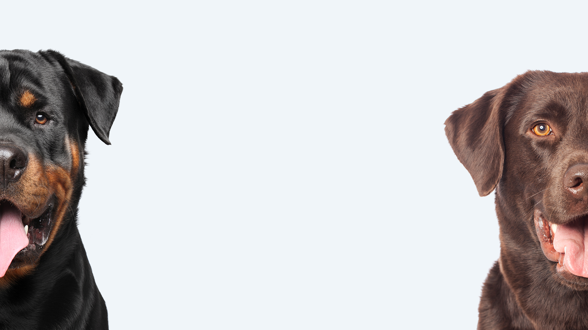 Banner_02.jpg