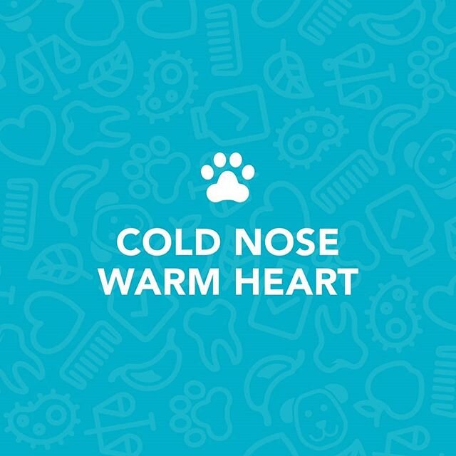 🥰 COLD NOSE WARM HEART⠀
Showing your best friend how much you love them is one of the pleasures of sharing your life with a dog. At Man's Best we know the importance of a balanced and nutritious grain free diet. ⠀
⠀
#dogmemes #dogjokes #happydoghapp