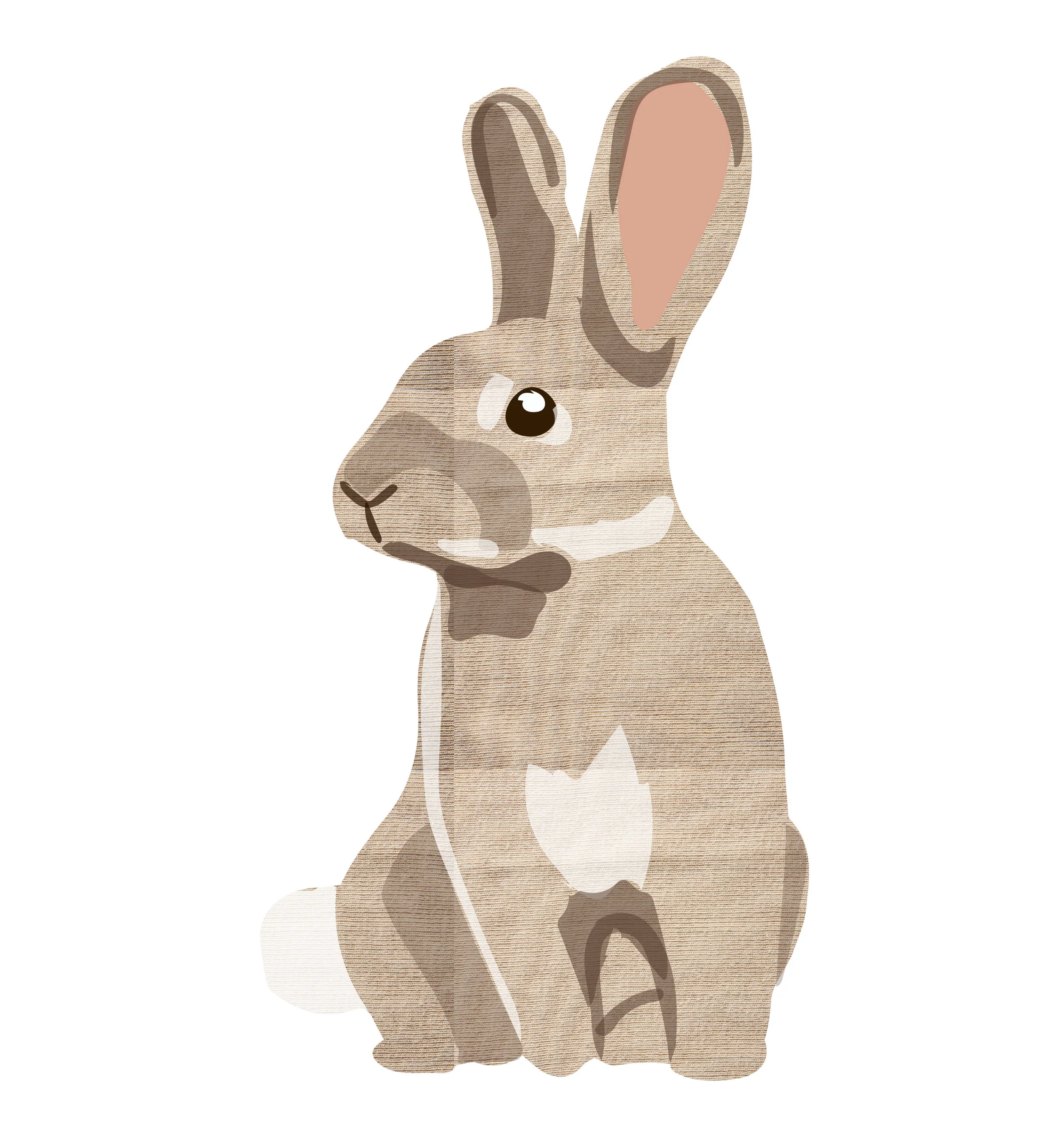 Bunni.jpg