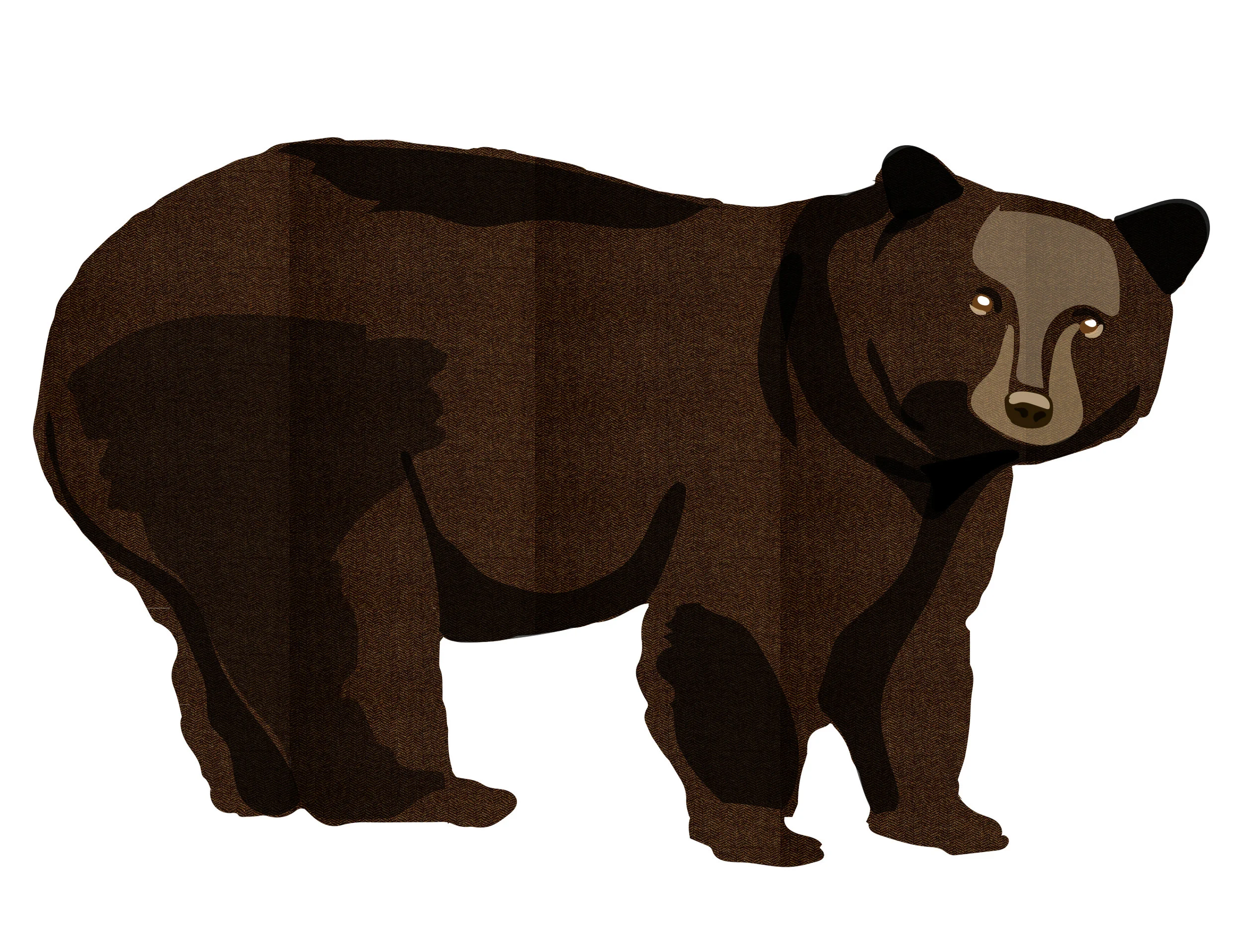 Bearo.jpg