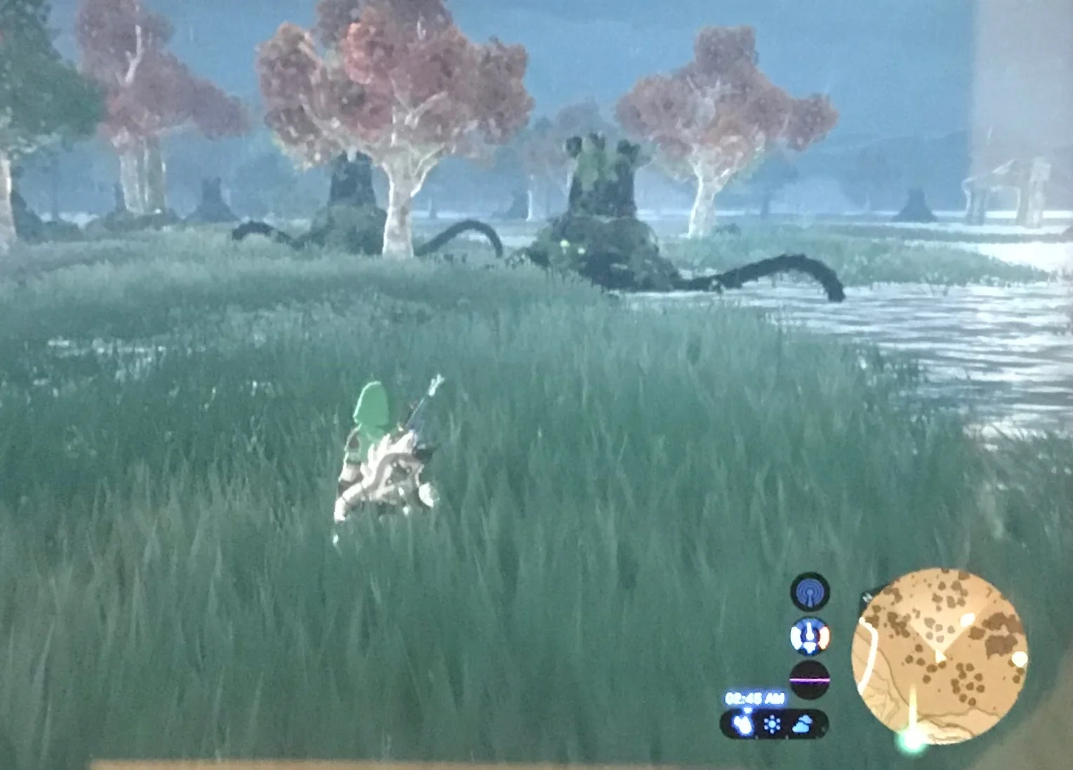 A Good Place for Gathering and Harvesting: Torin Wetland 