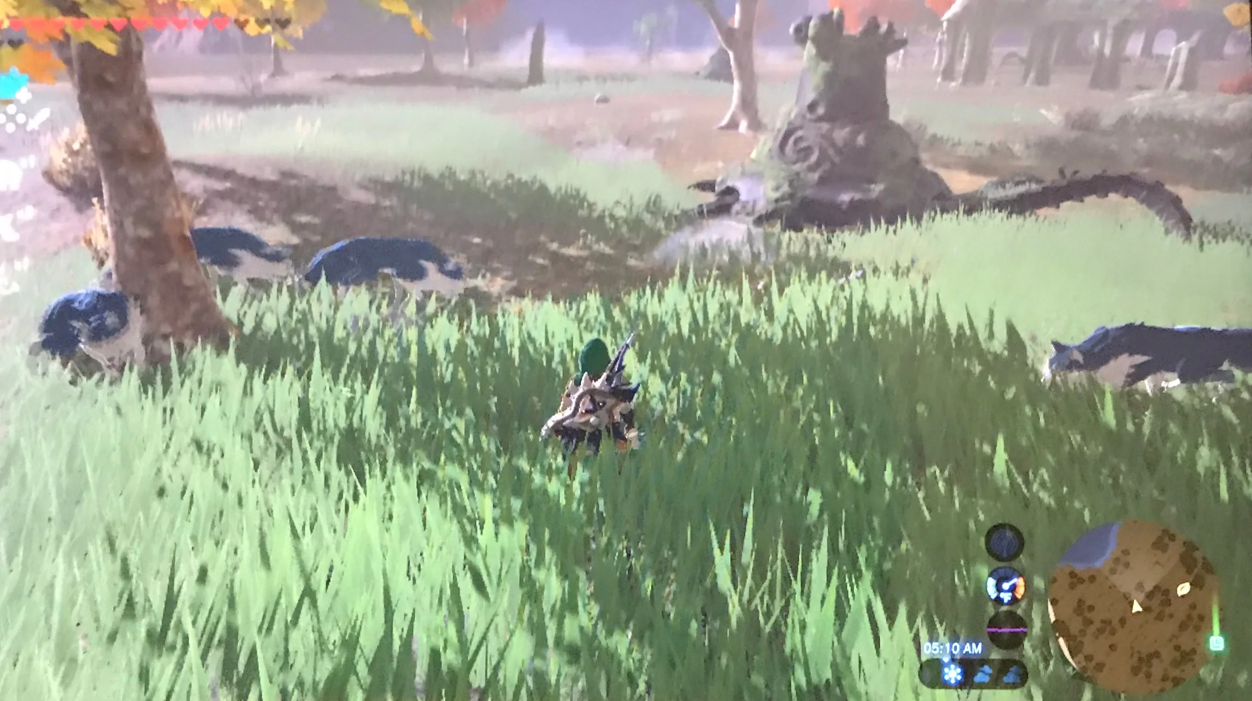 Easy Gold Rupee Near Death Mountain