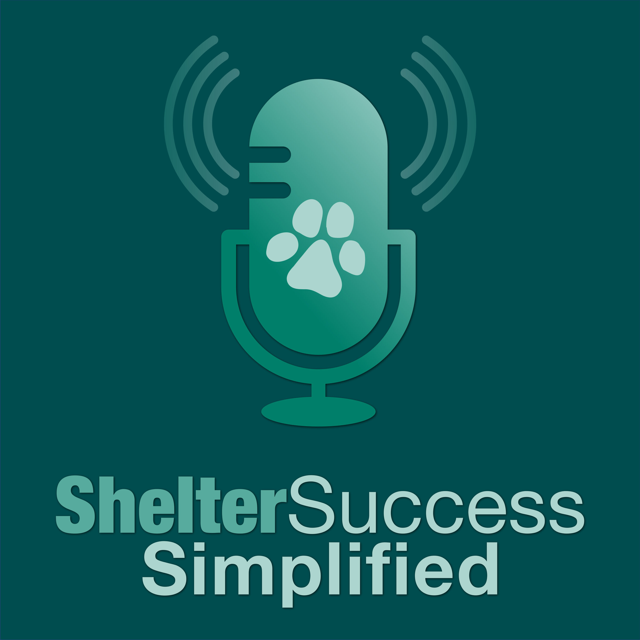 Shelter_Success_Simplified_Square 2.jpg