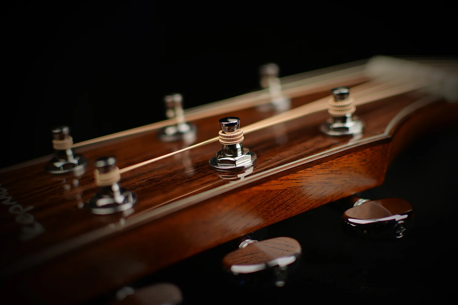 D2-130_Elixir_Headstock.jpg