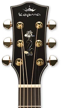 Headstock.jpg