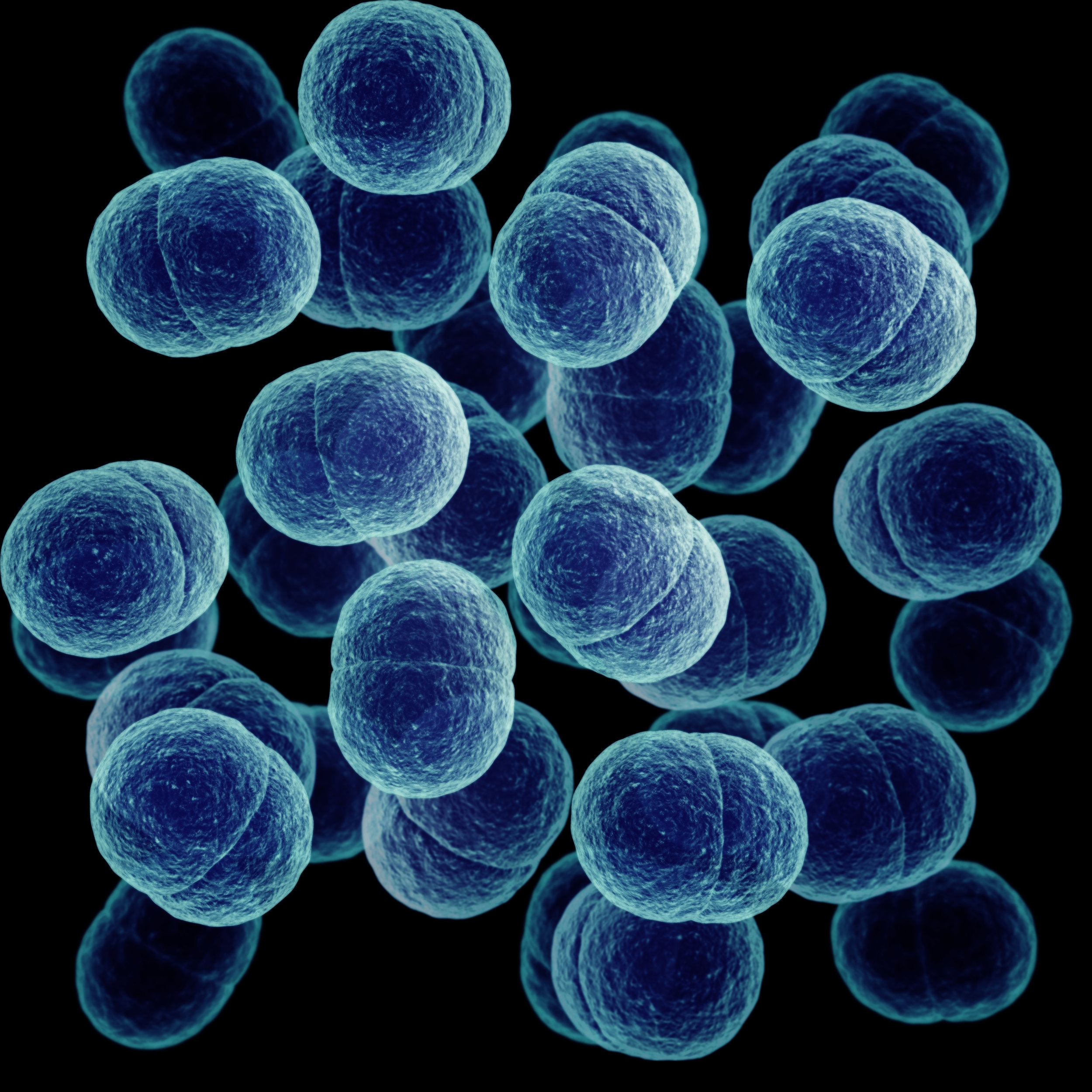 staph-bacteria.jpg