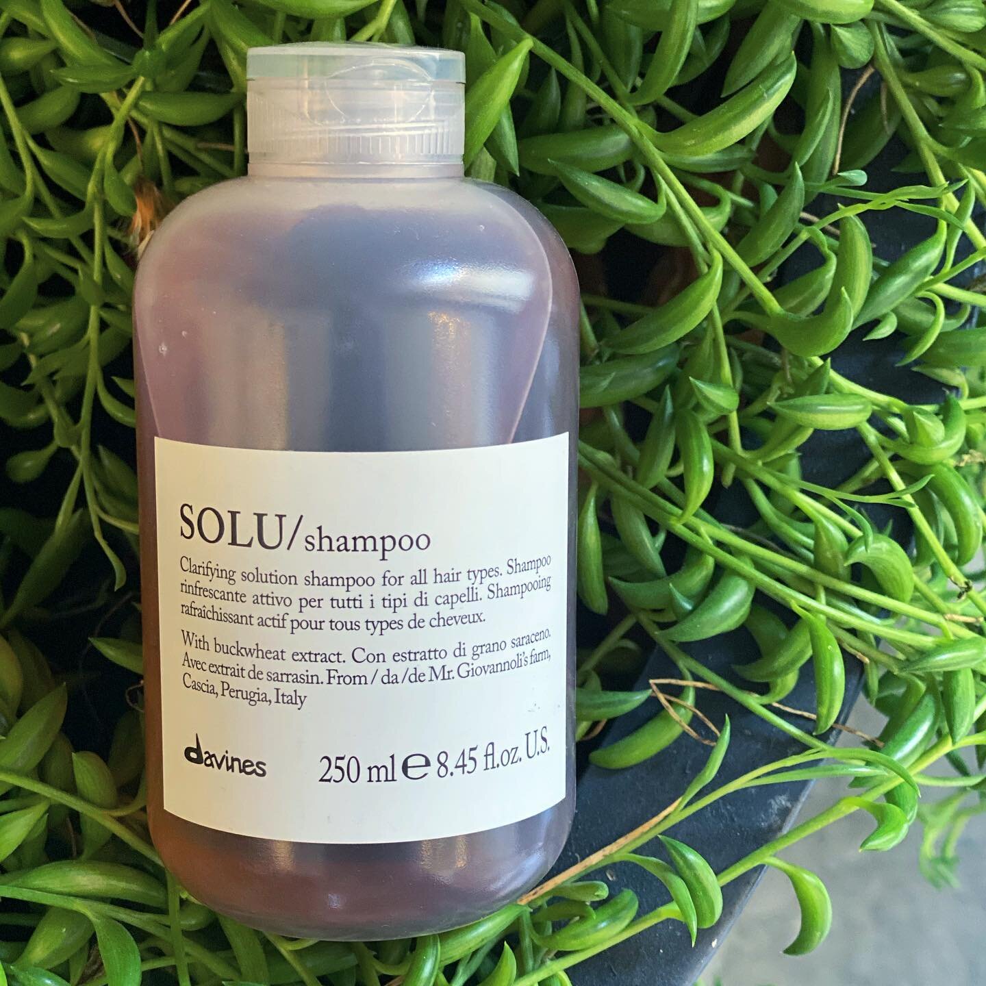 Is your hair feeling weighed down and gritty with product buildup/chlorine? Davines SOLU shampoo is the ticket for clean, light and airy hair!  A clarifying product that is gentle enough to use daily, leaving the hair soft and shiny&hellip;.AND made 