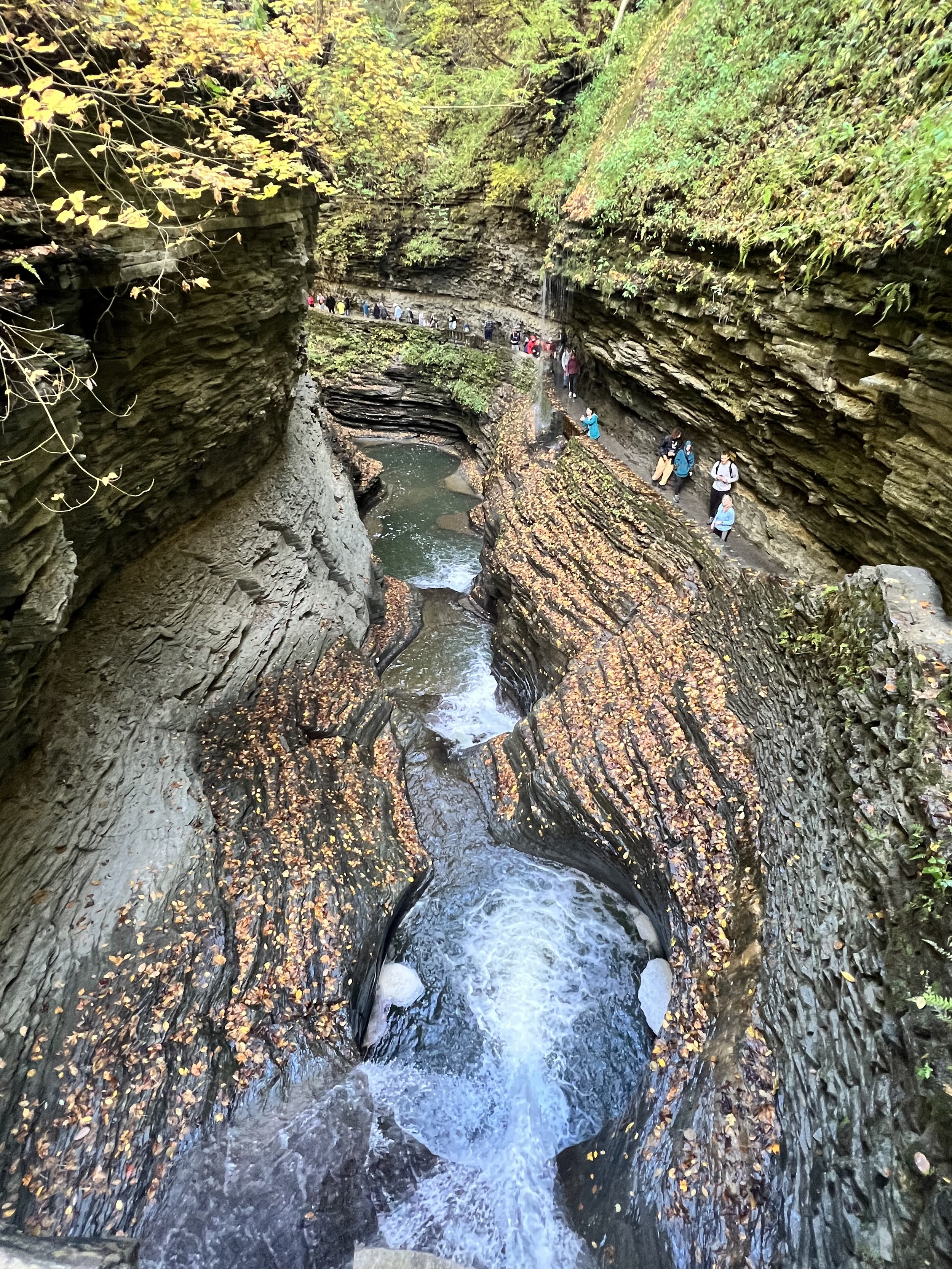 Watkins Glen SP 2.jpg