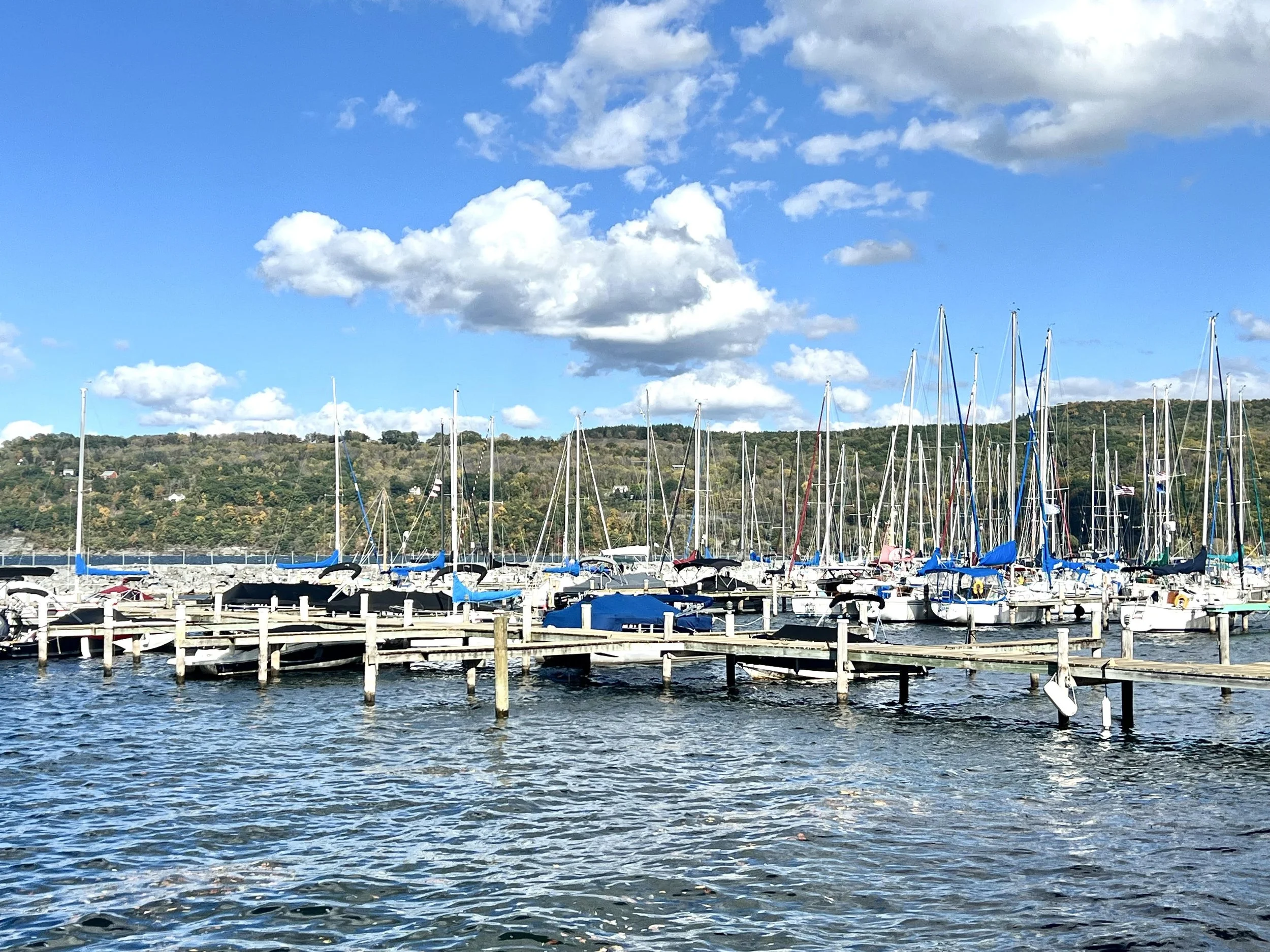 Marina on the lake.jpg