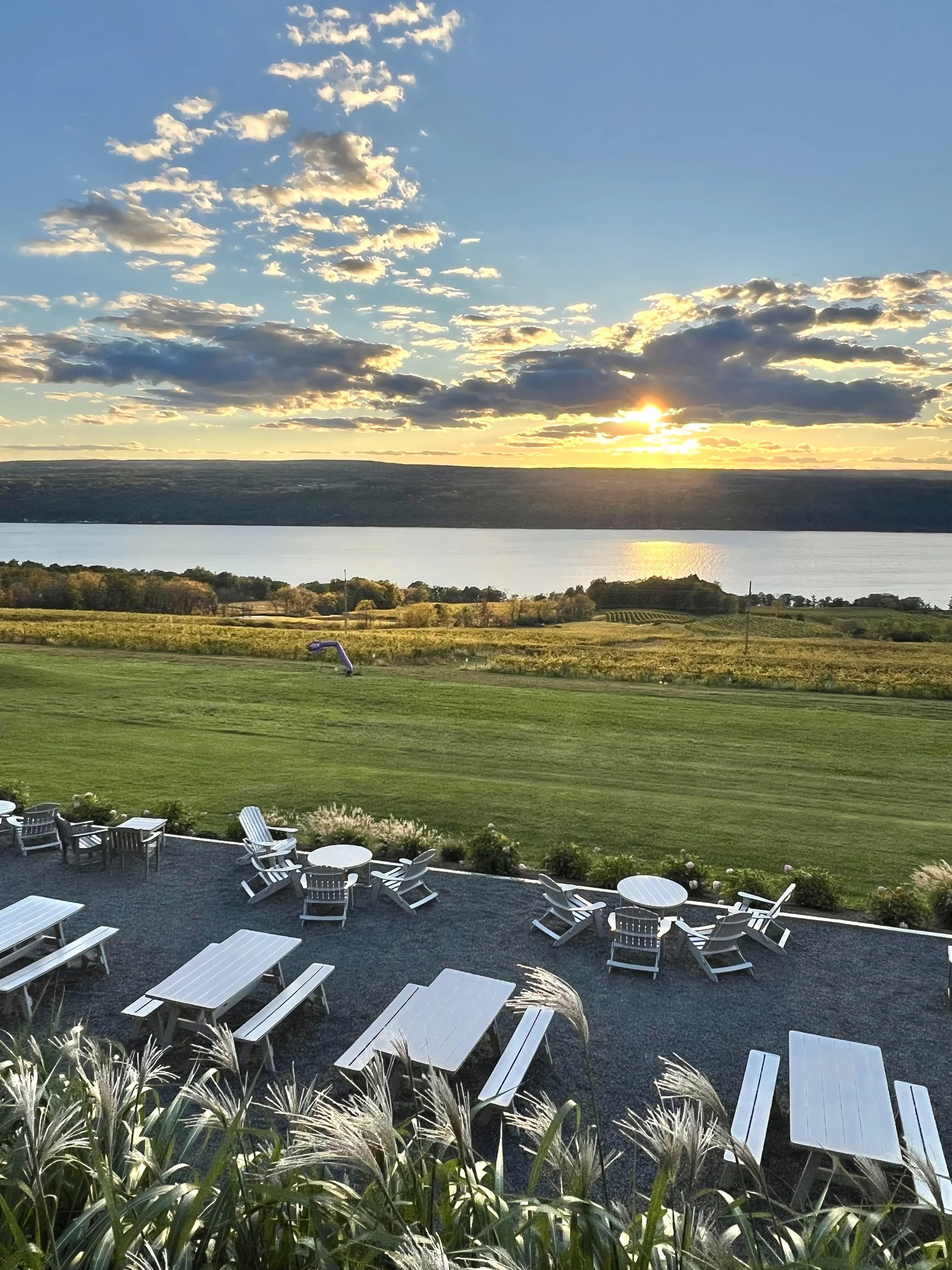 Wine Tasting overlooking Seneca lake.jpg