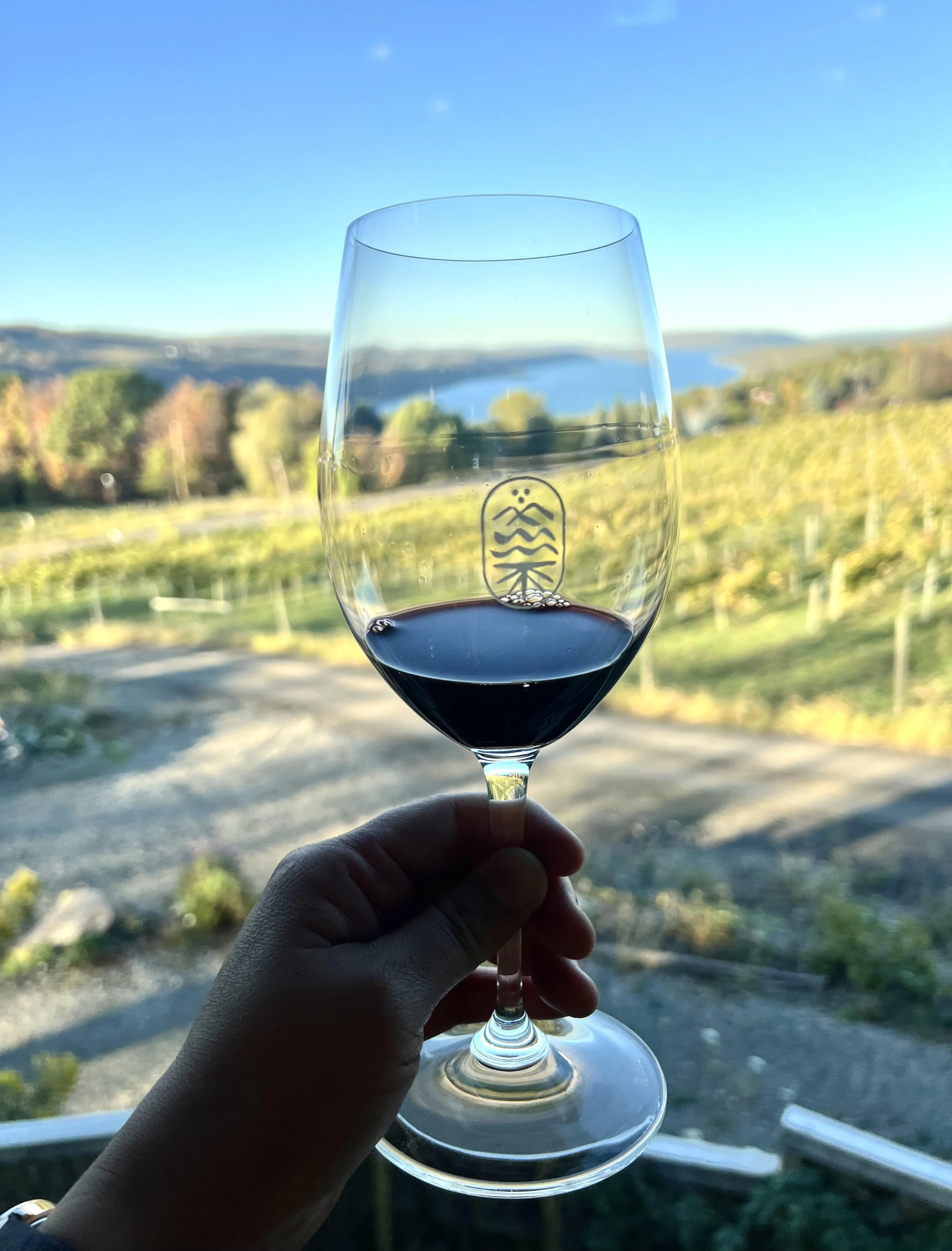 Wine glass with lake view.jpg