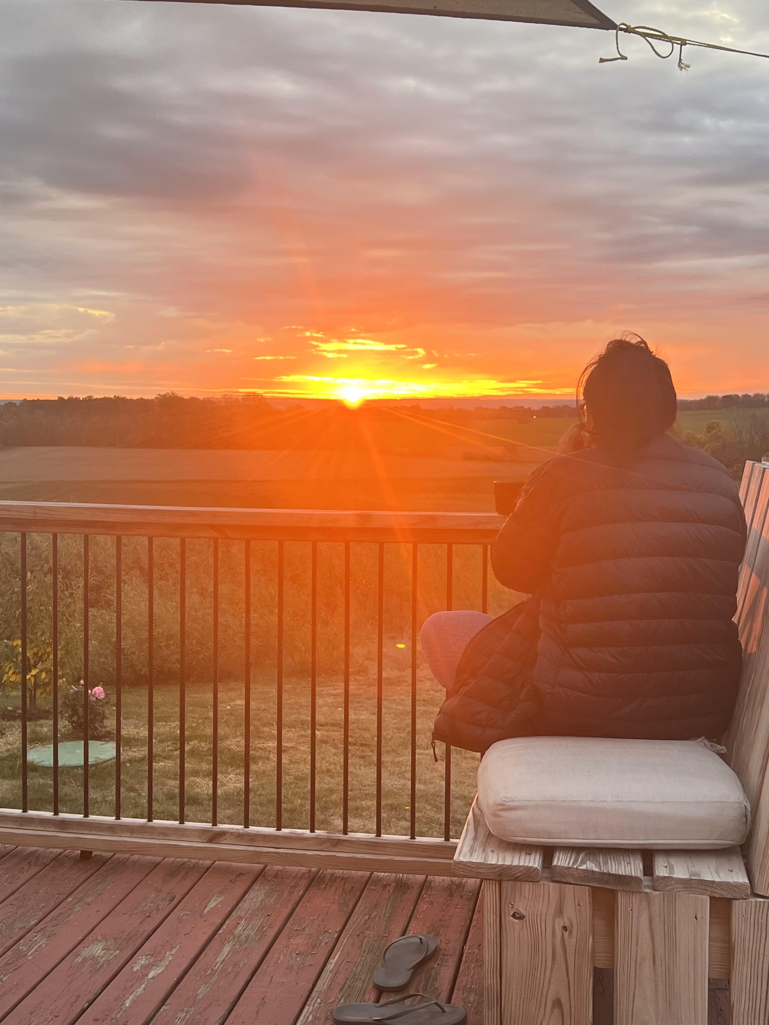 Sunrise over the fields.jpg