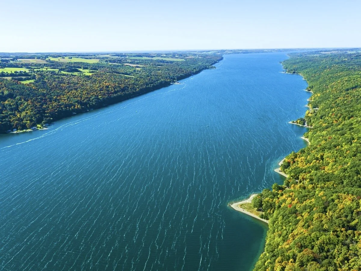 Aerial view of lake.jpg