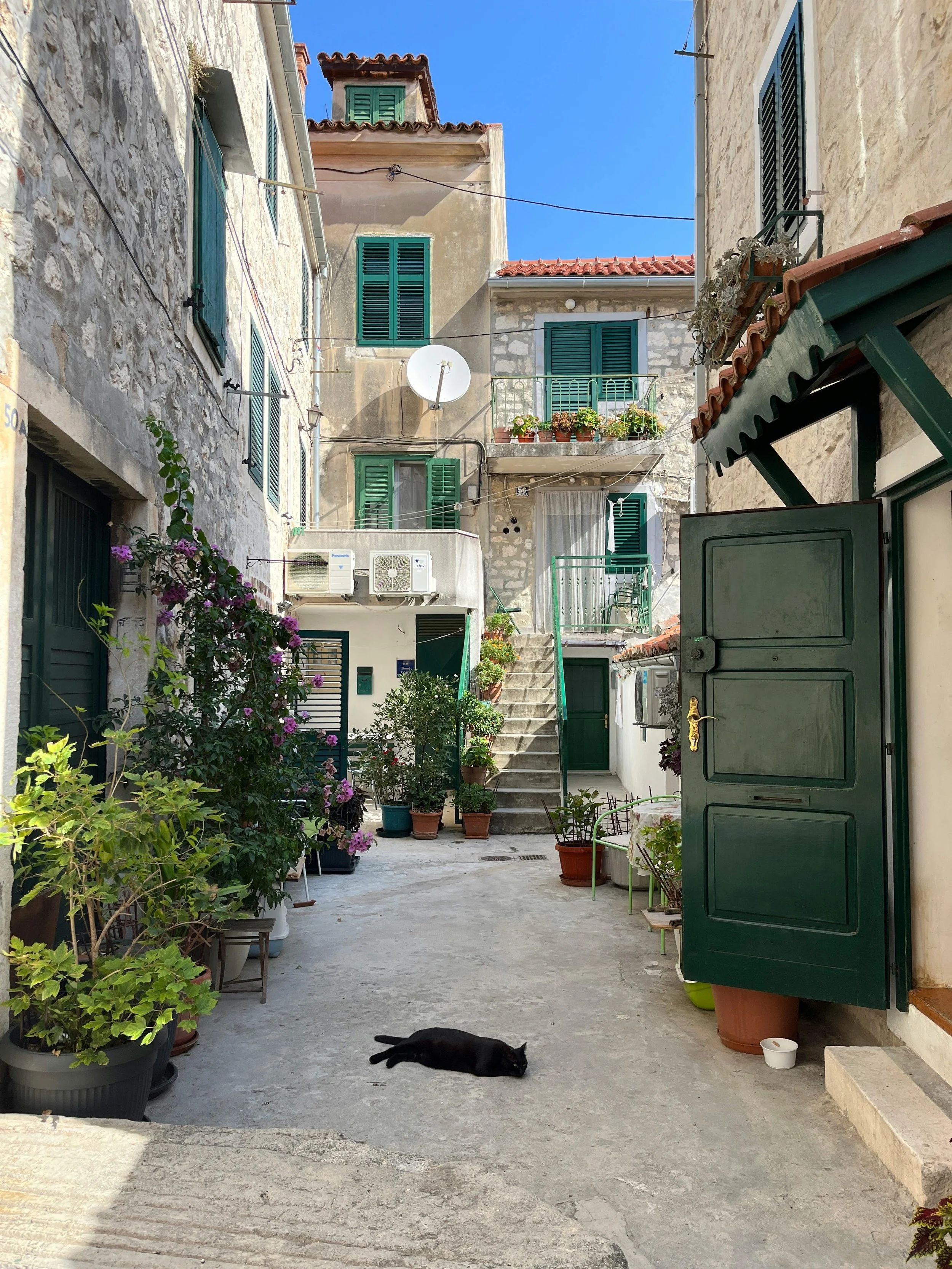 Split residential with cat.jpg