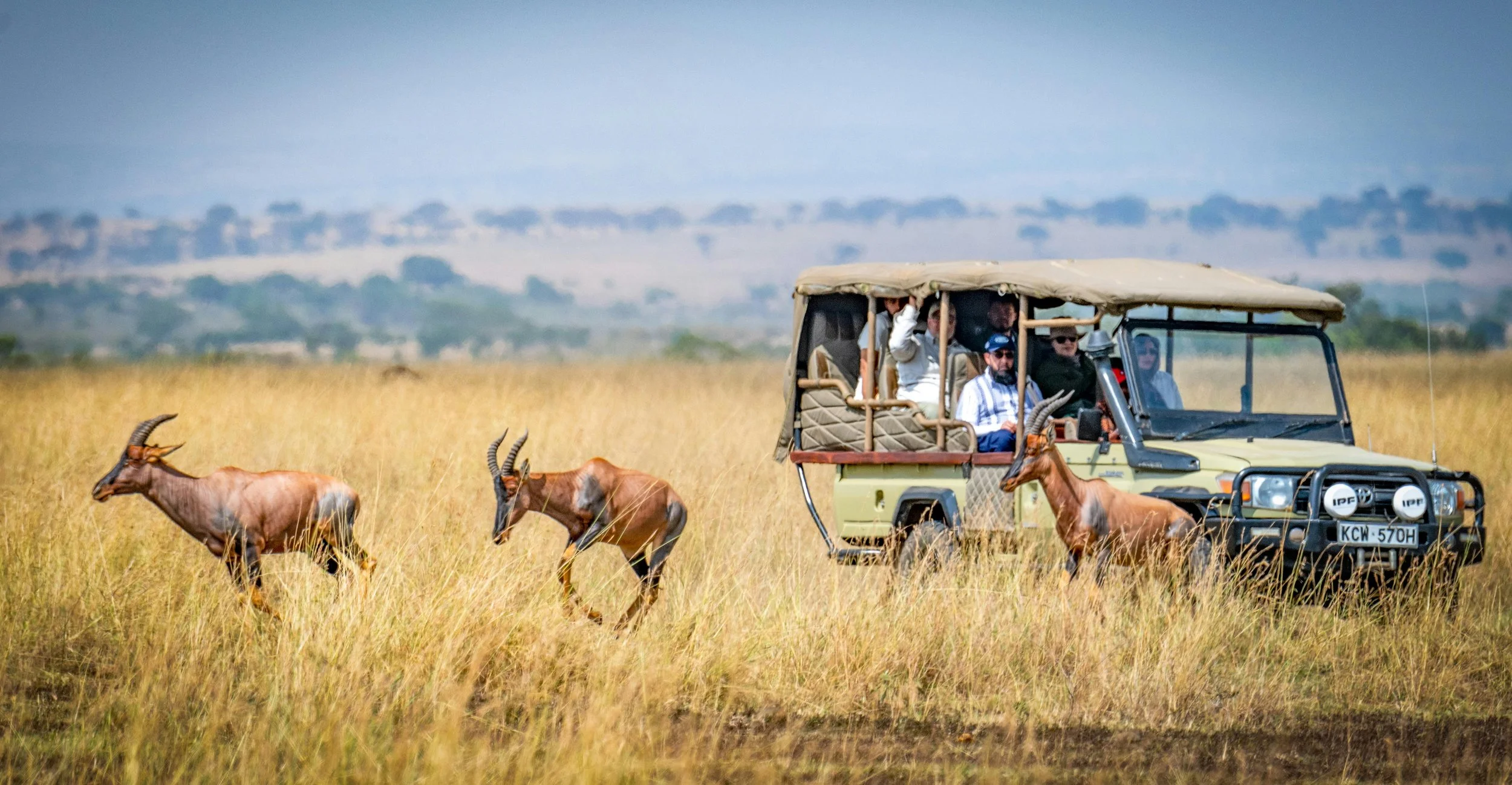 Game Drive.jpg