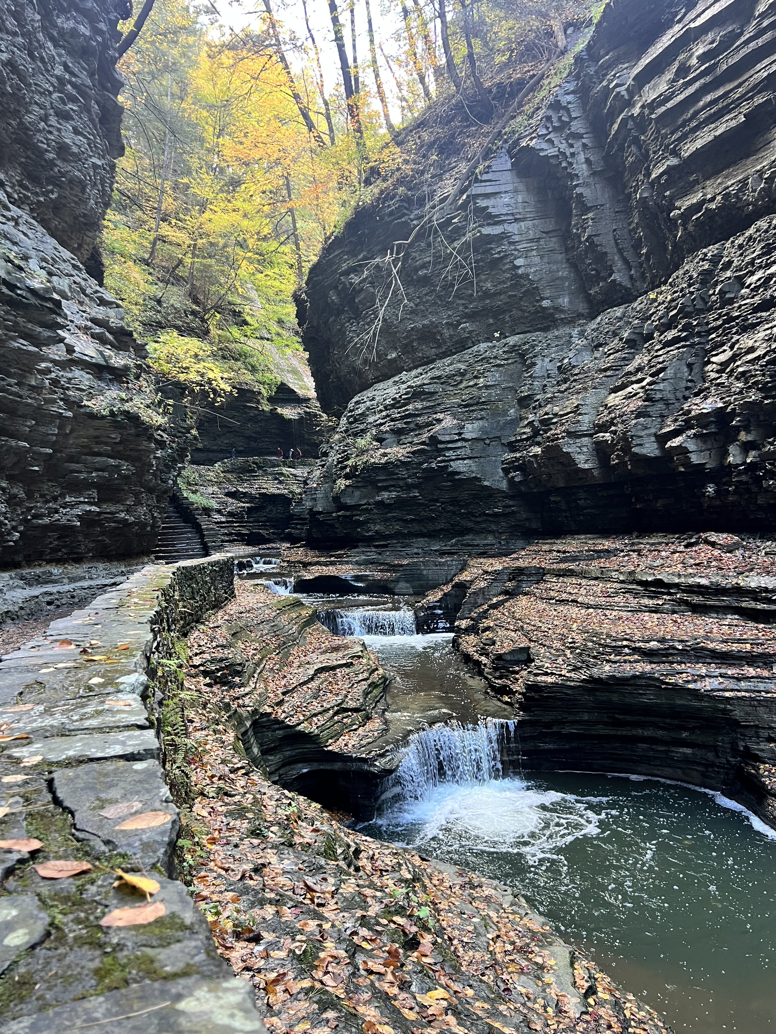 Watkins Glen SP 3.jpg