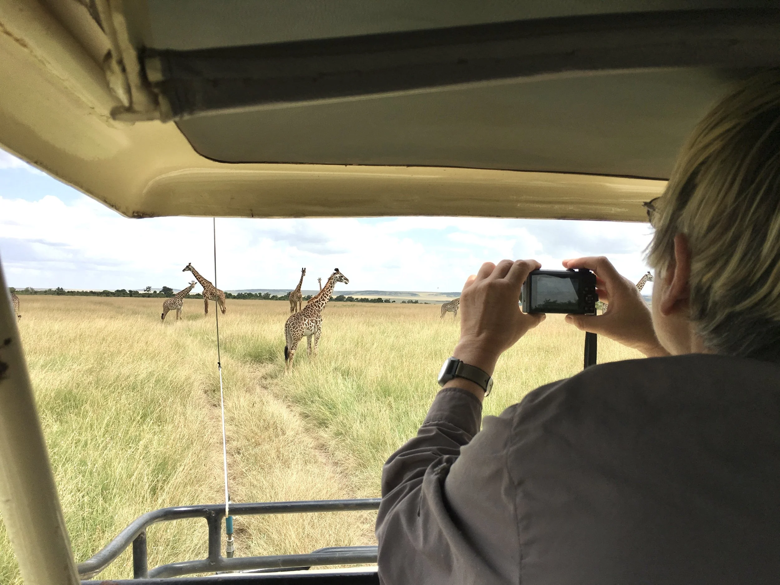 Photographing in the wild 2.jpg