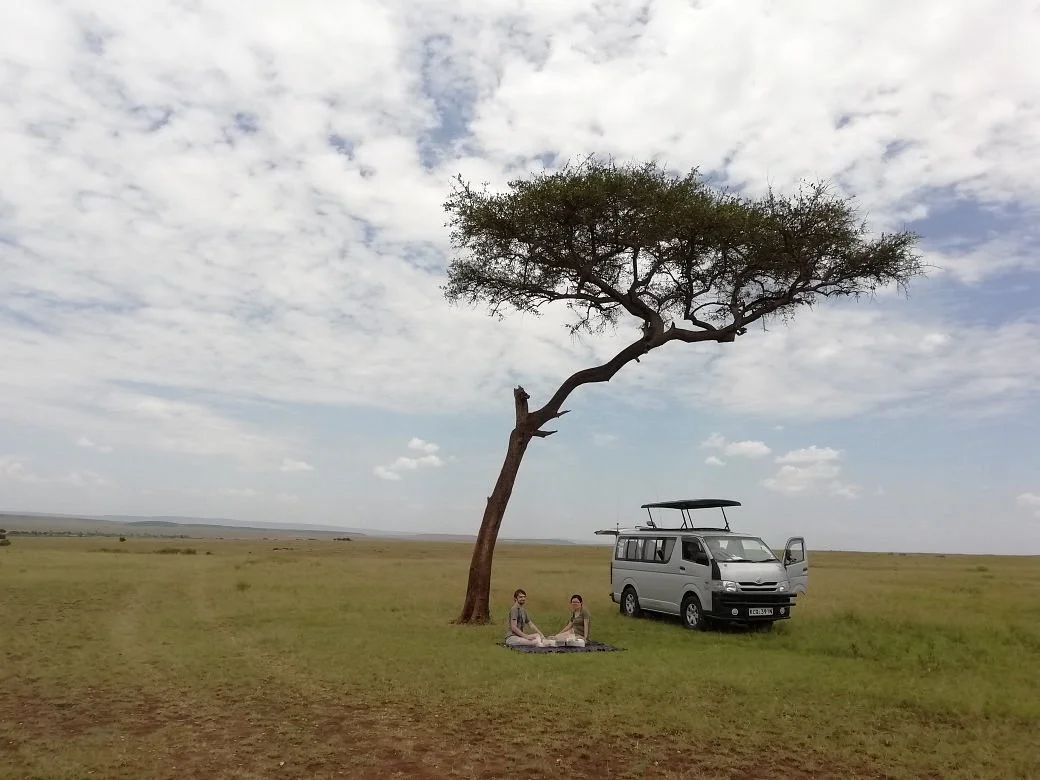 Picnic on the safari.jpg