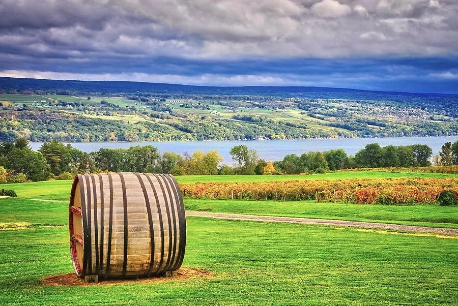 Lake view from the fields.jpg
