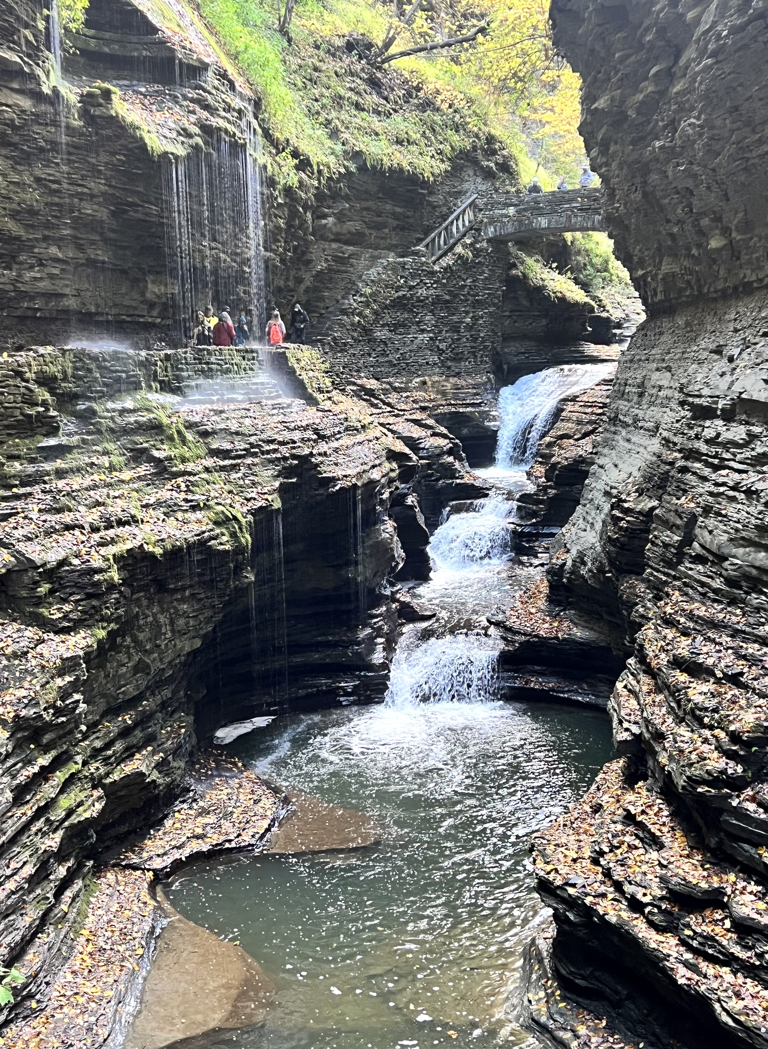 Watkins Glen SP 4.jpg