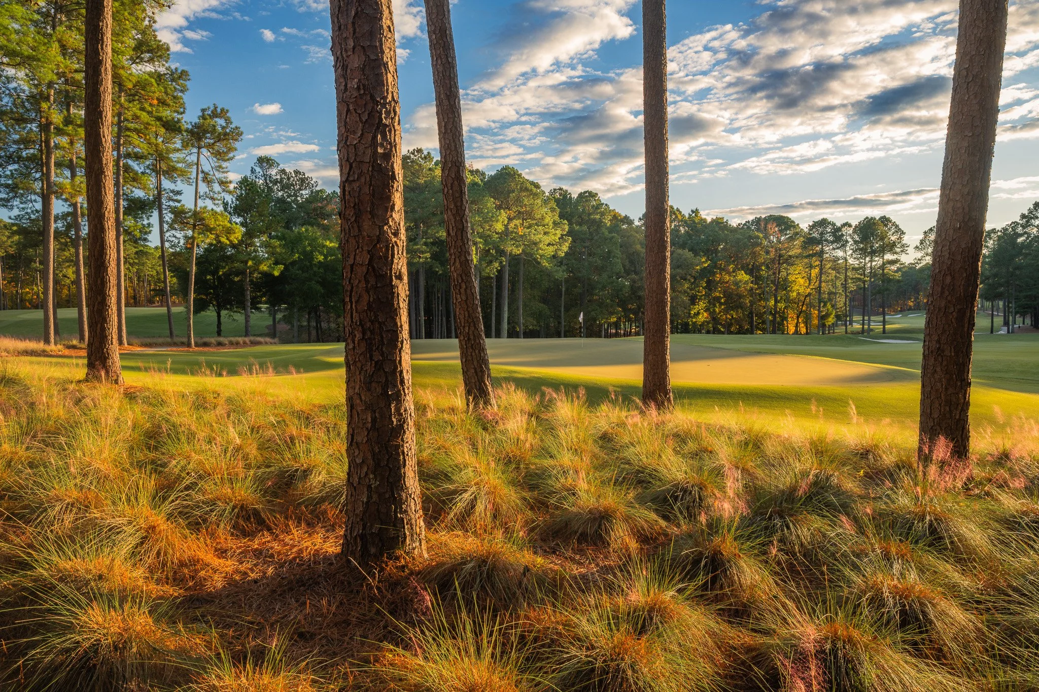Old Chatham Golf Club