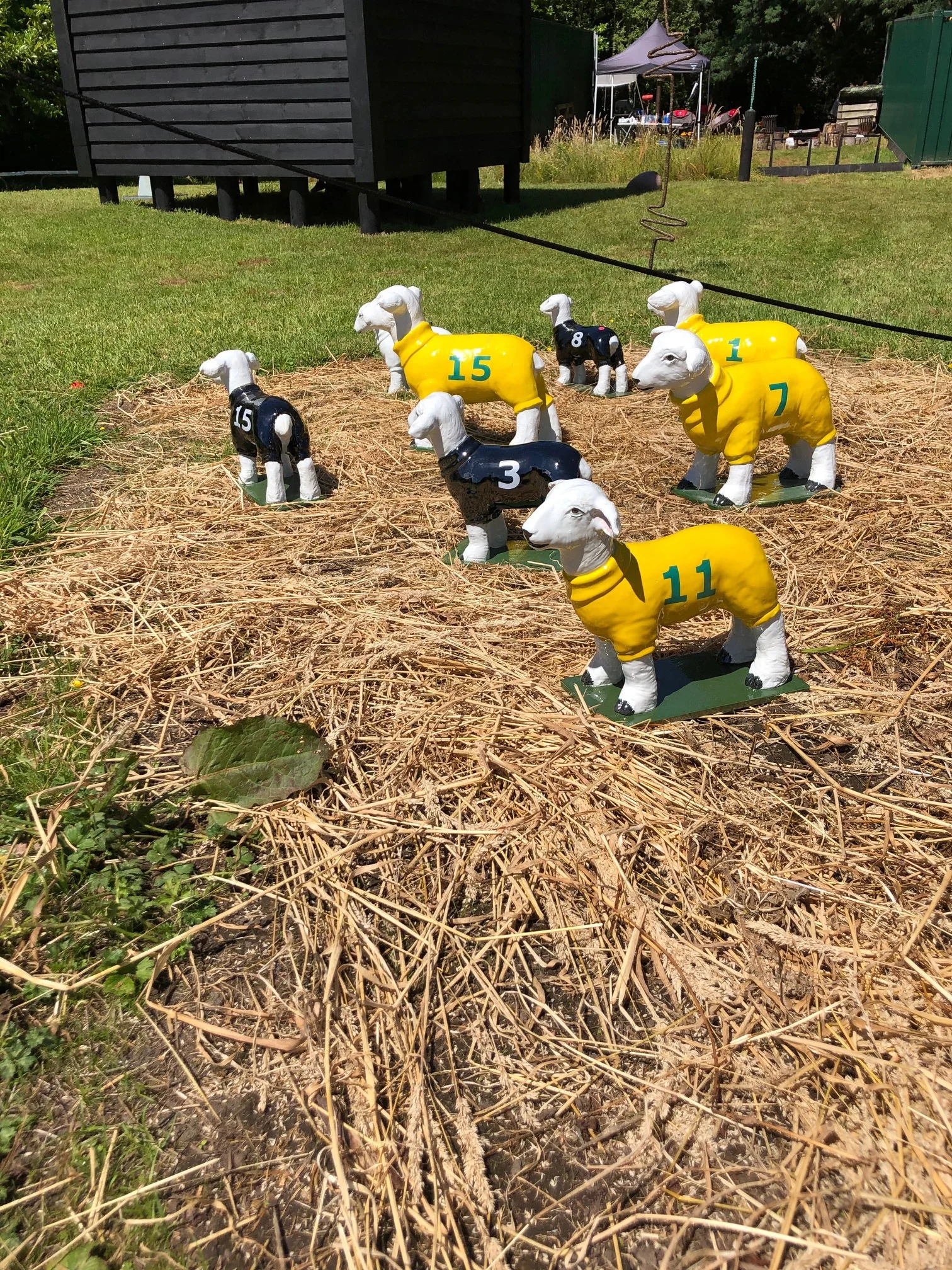 Gregor Kregar_Sheep 2 (1).jpeg