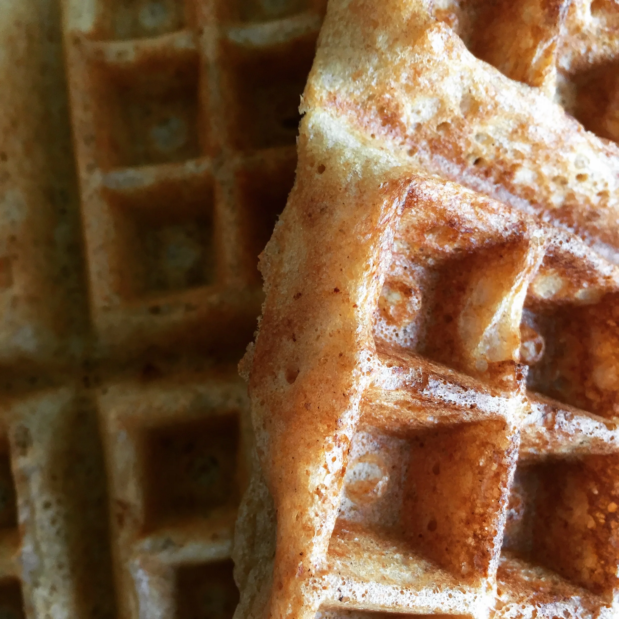 Sourdough Waffles/Pancakes