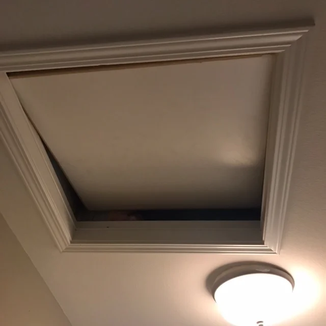 ATTIC ACCESS PARDEE.JPG.jpeg