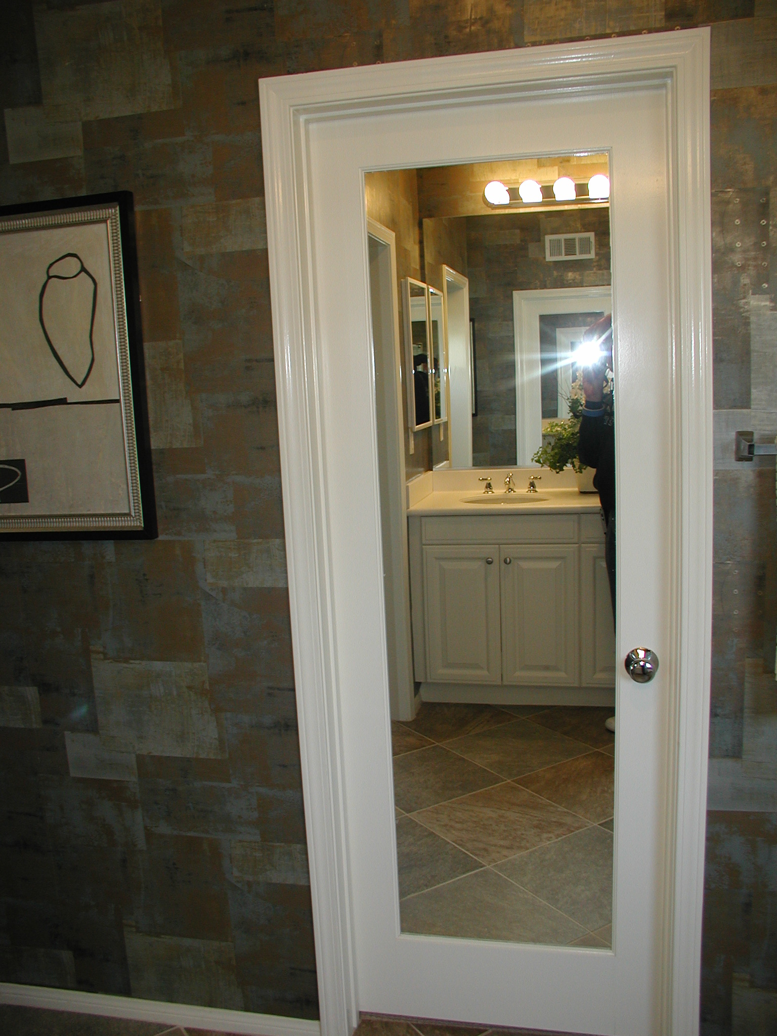Interior doors with mirror on one side Builders Villa