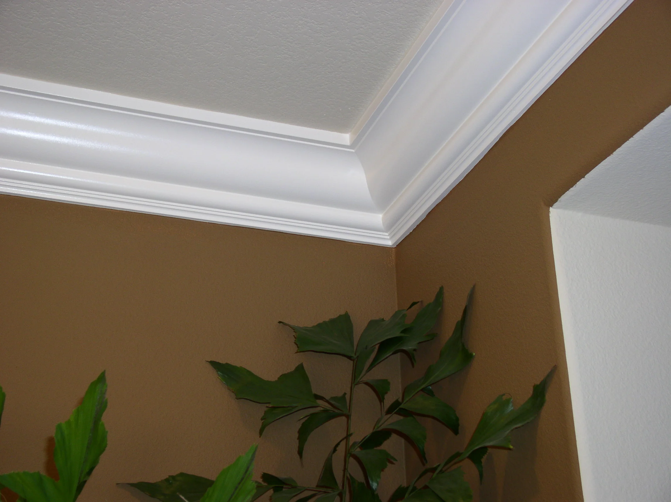 PLAN 6 DINING ROOM P.G CROWN.JPG