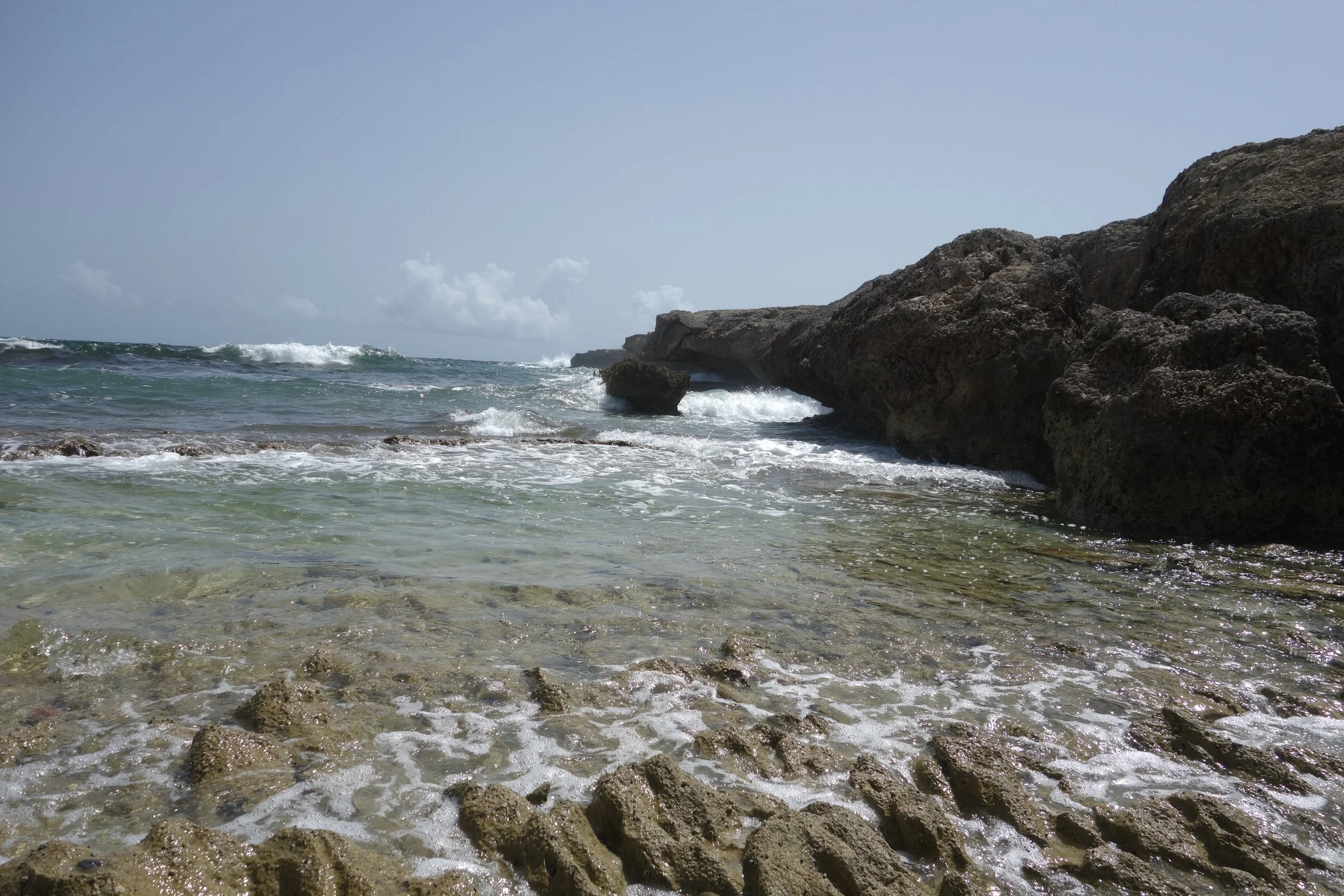 DSC02215.JPG