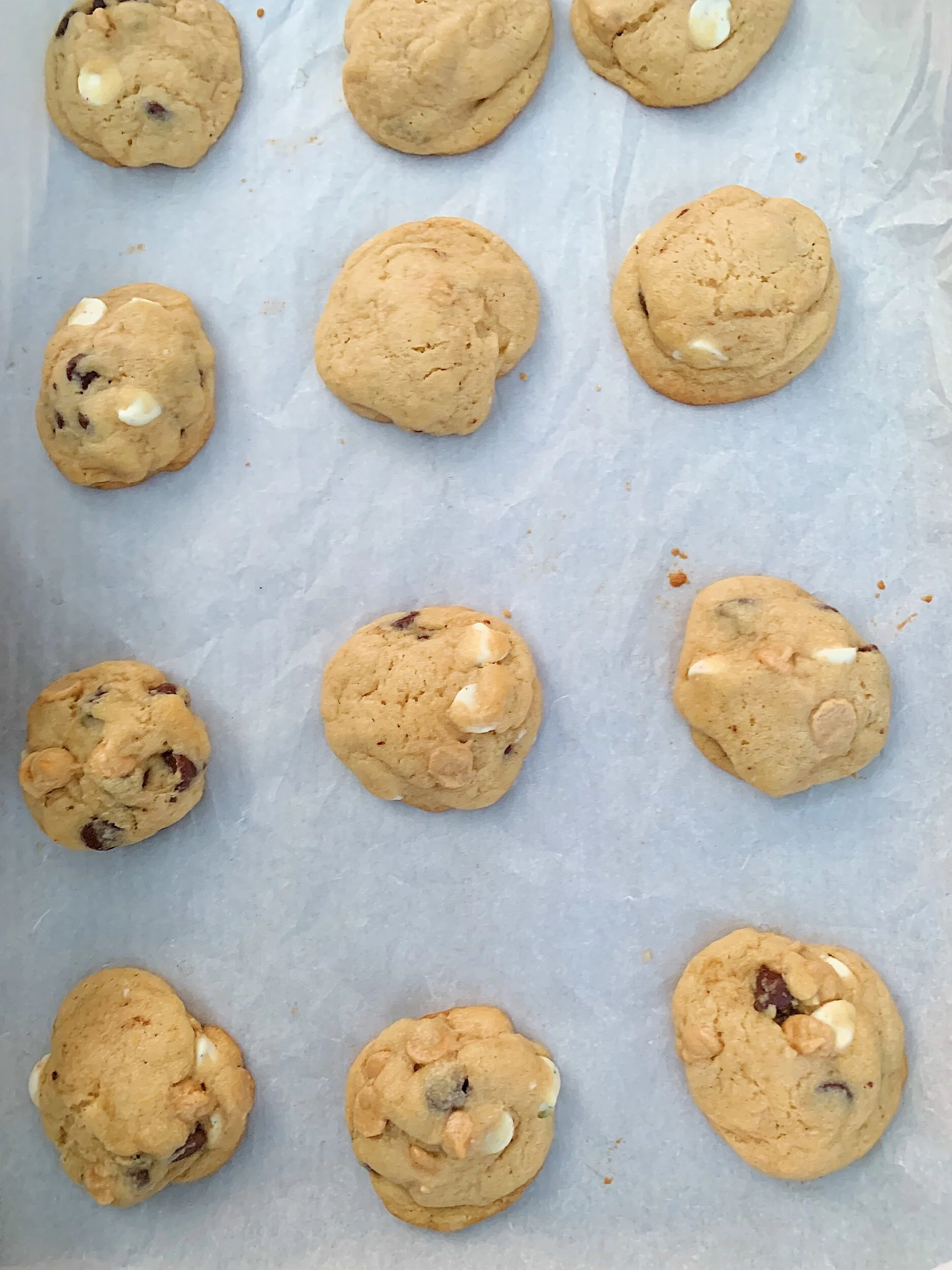 Kitchen Sink Cookies