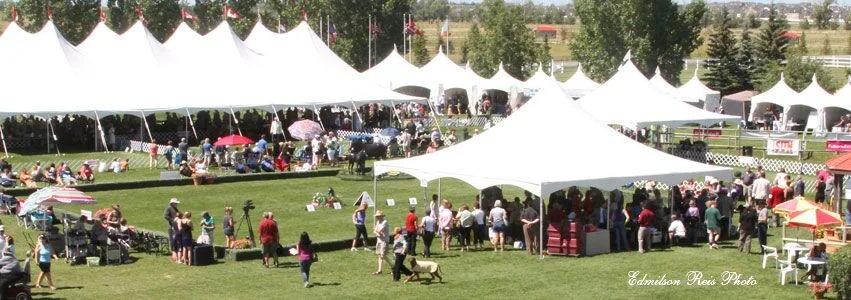 summer show 2011_preview.jpeg