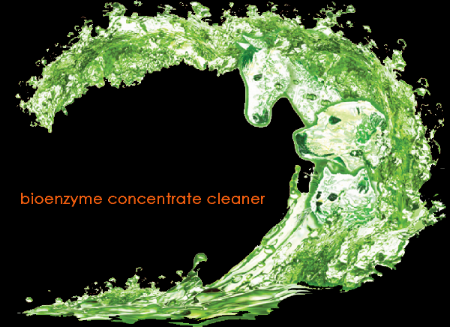 ez-clean logo v4.png