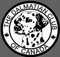 Dalmation Club.jpg