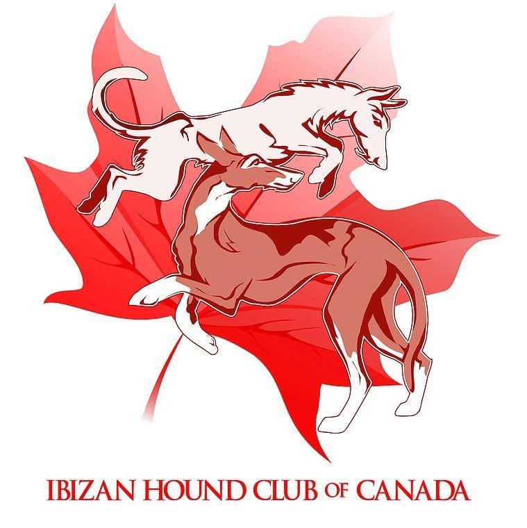 IBIZAN HOUND CLUB OF CANADA.jpg