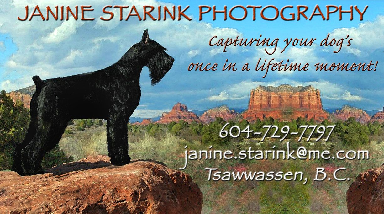 Janine Starink Photo Business Card.jpg