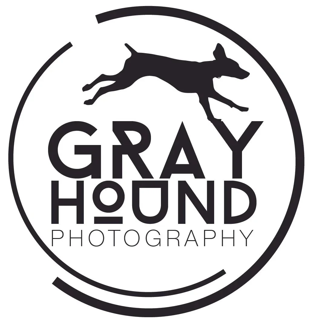 Gray Hound Final_Short Black.jpg