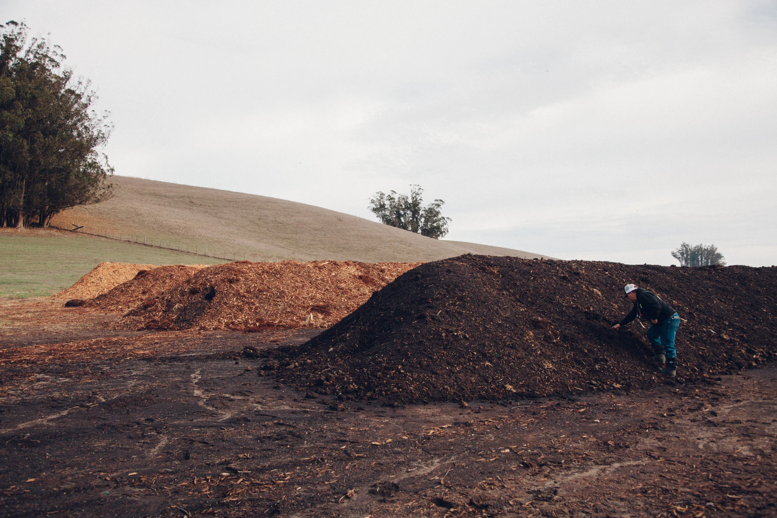 Loren inspecting the compost piles.