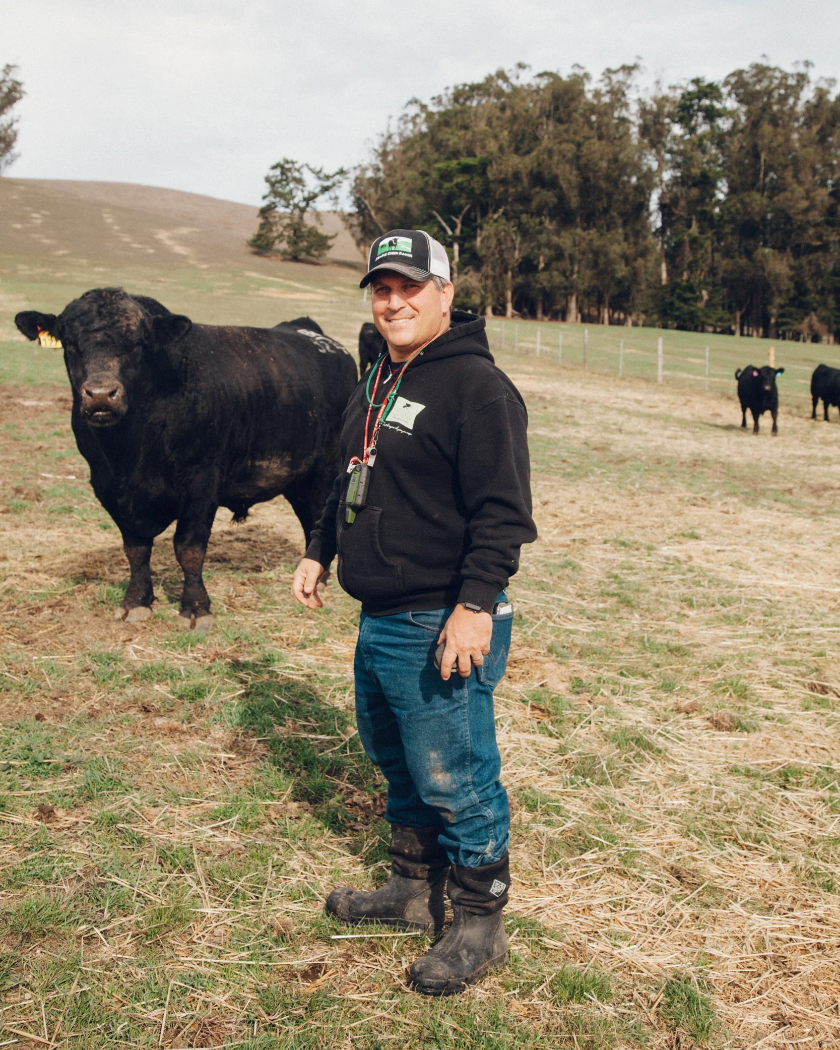 Loren with one of the bulls.