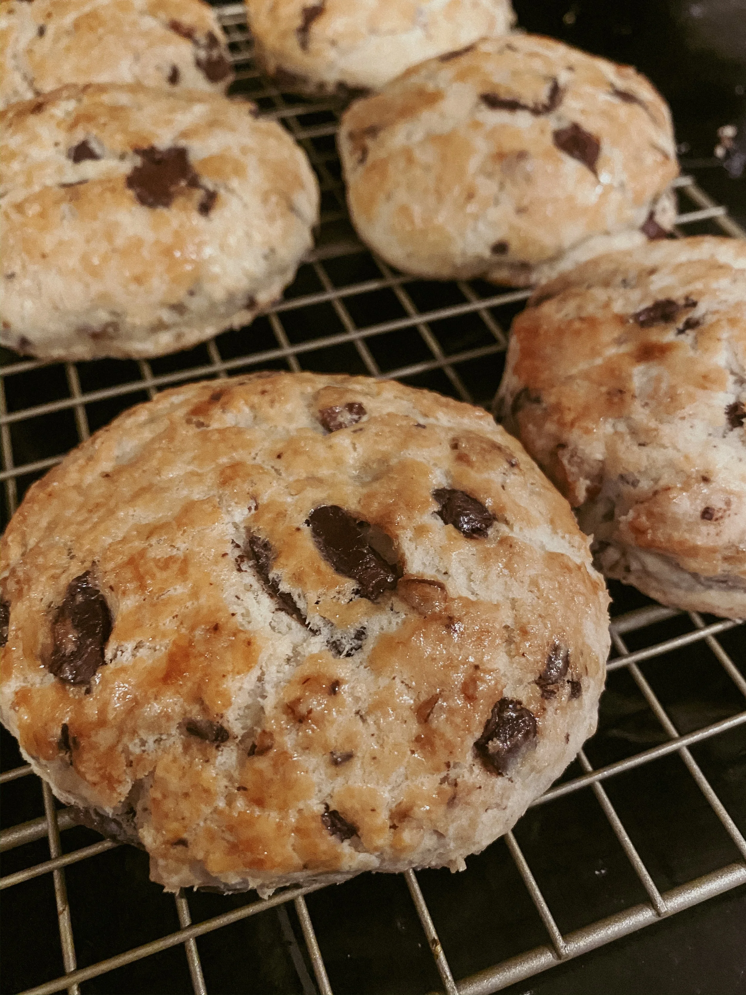 Chocolate Pecan Scones