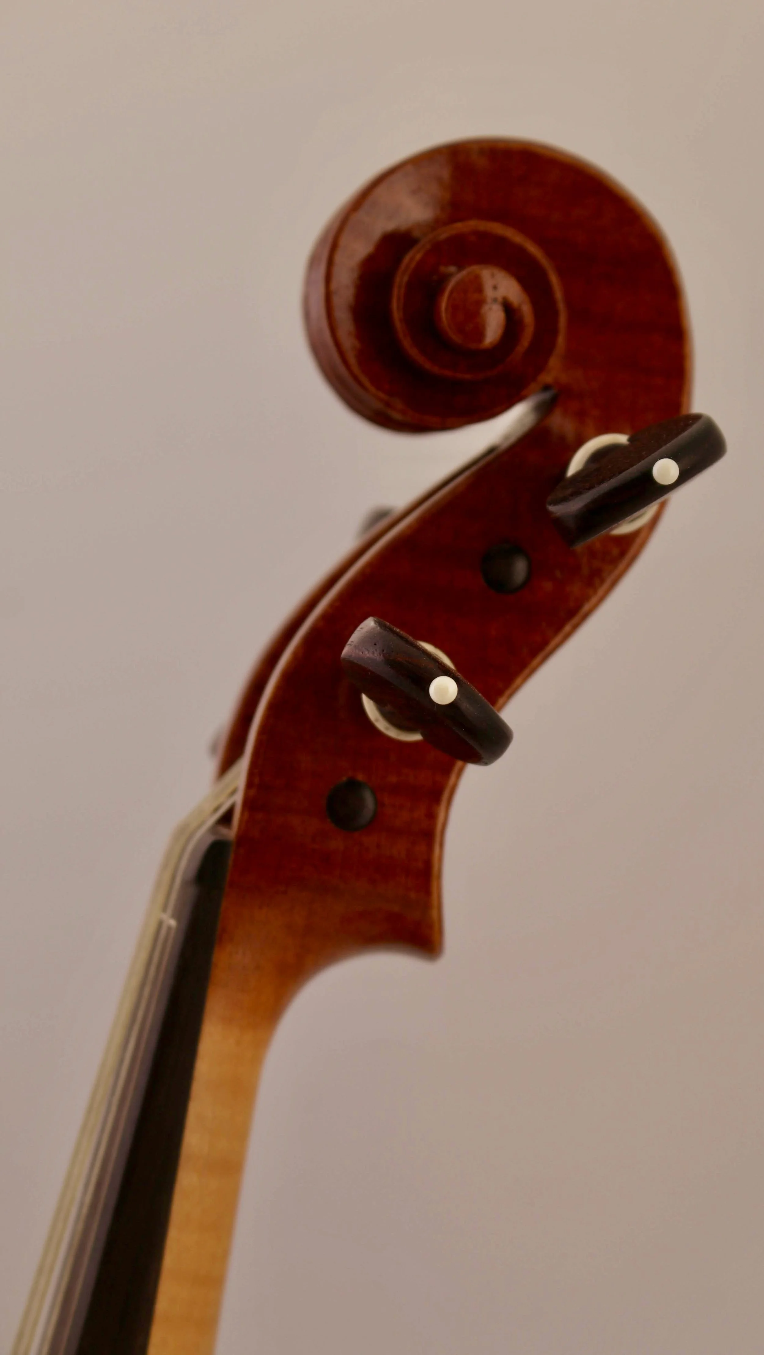 Baroque violin scroll by Stephen Boone