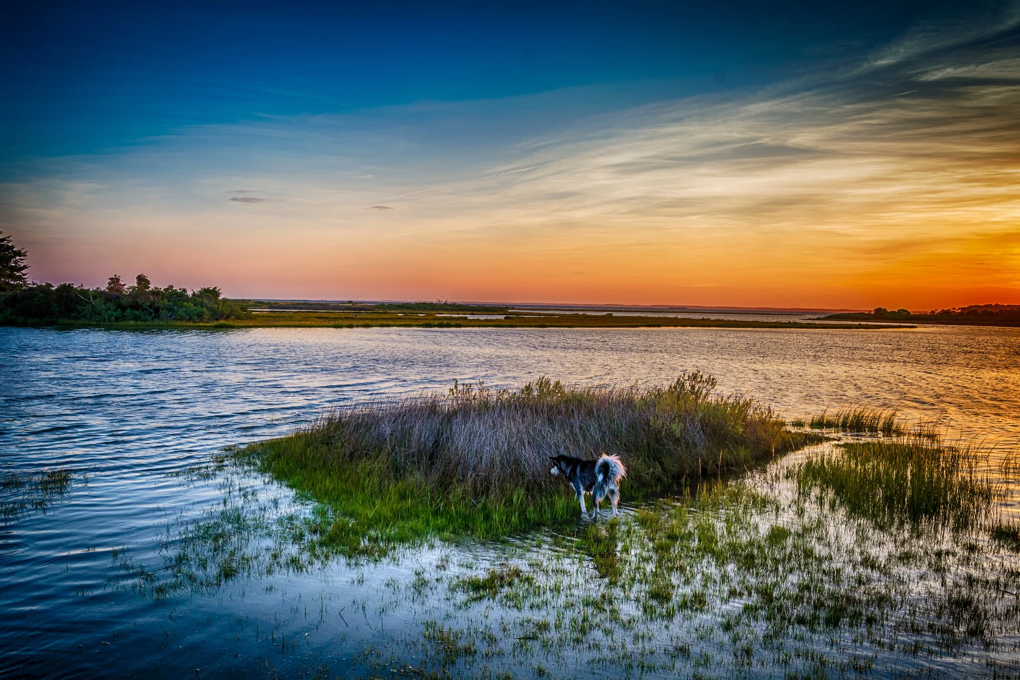 DSC_2606_HDR.jpg