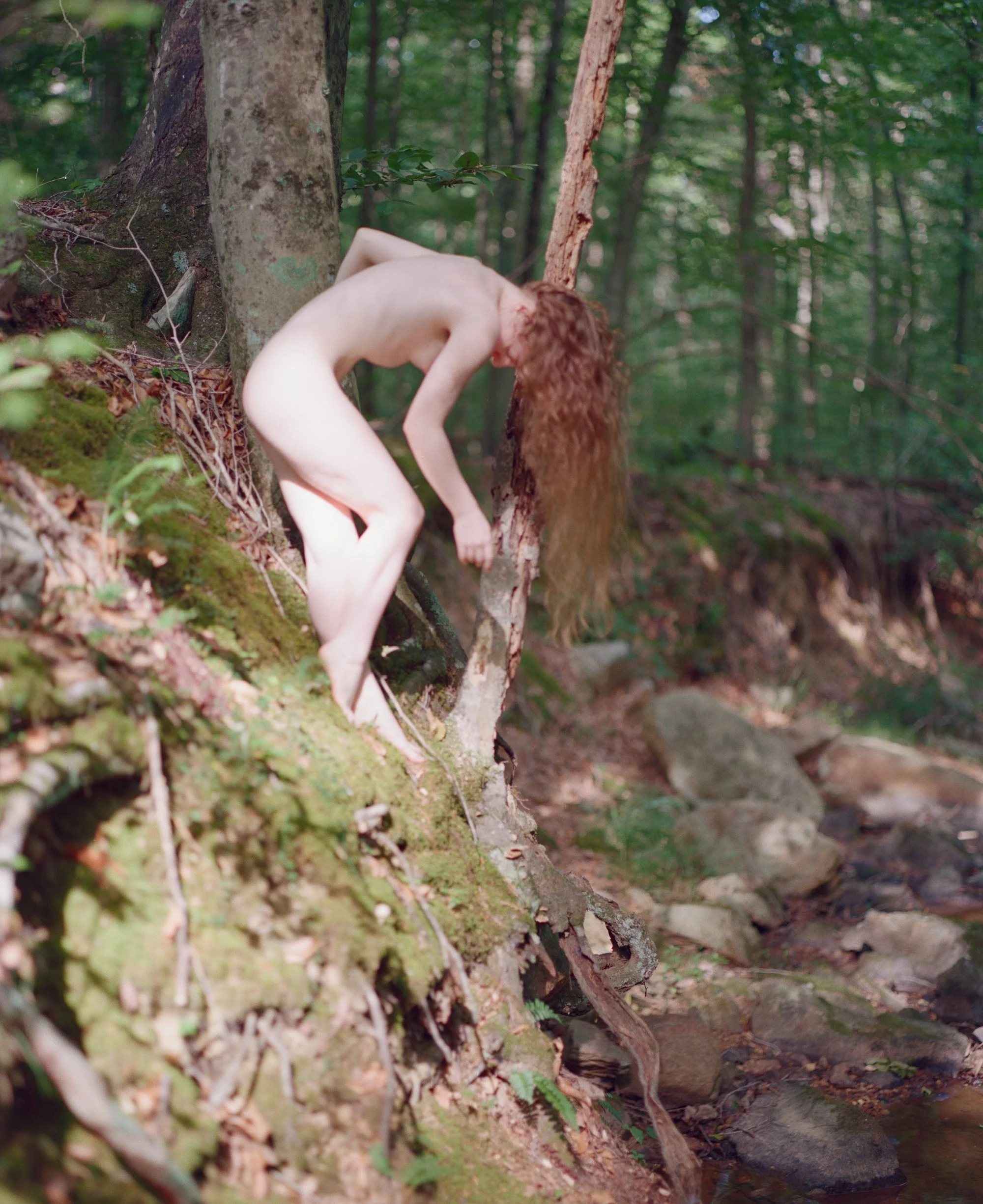 kodak_professional_portra_800_08_28_2023_000181170002.jpg