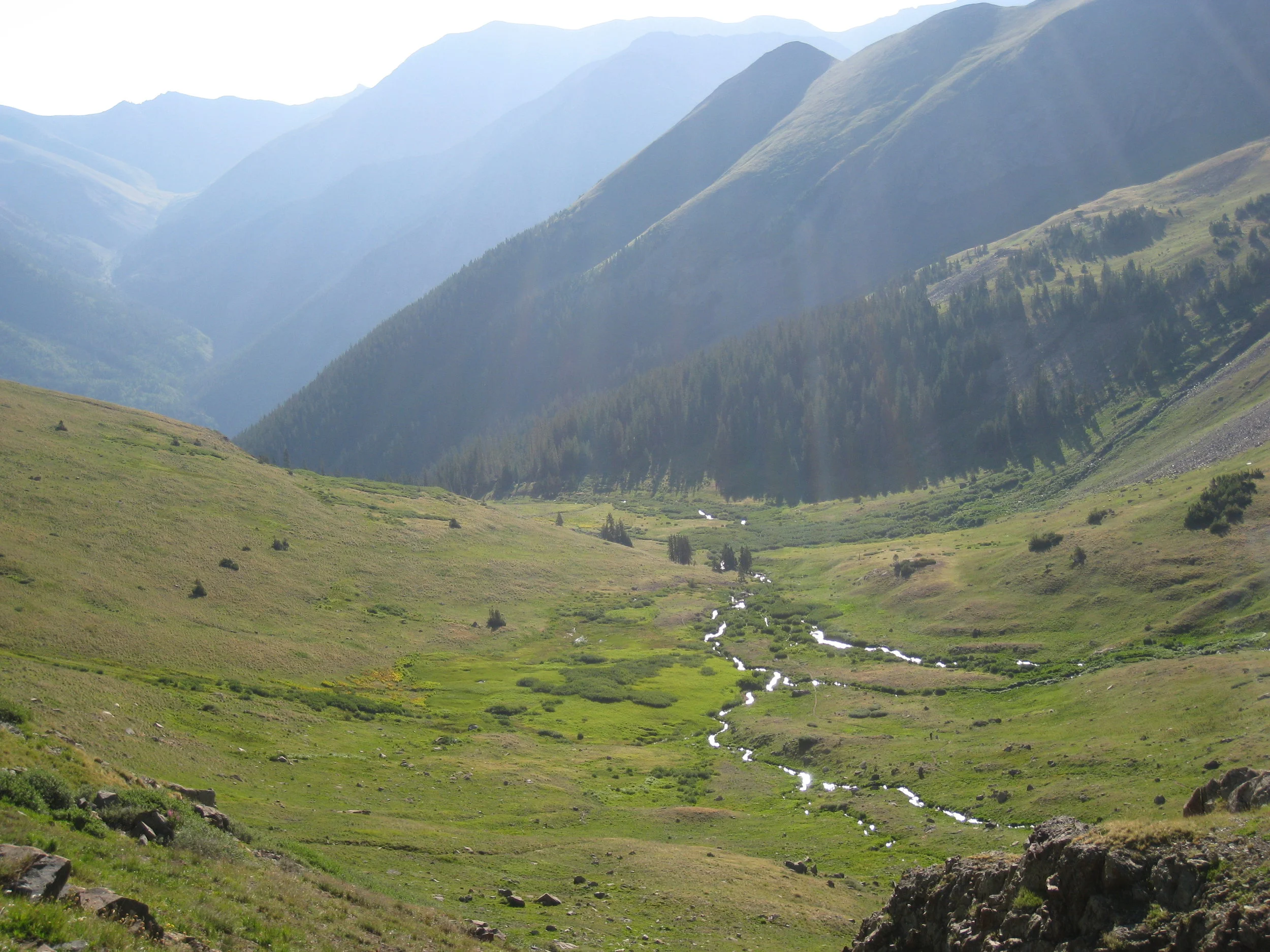 This Week: Five Ingredient Happy